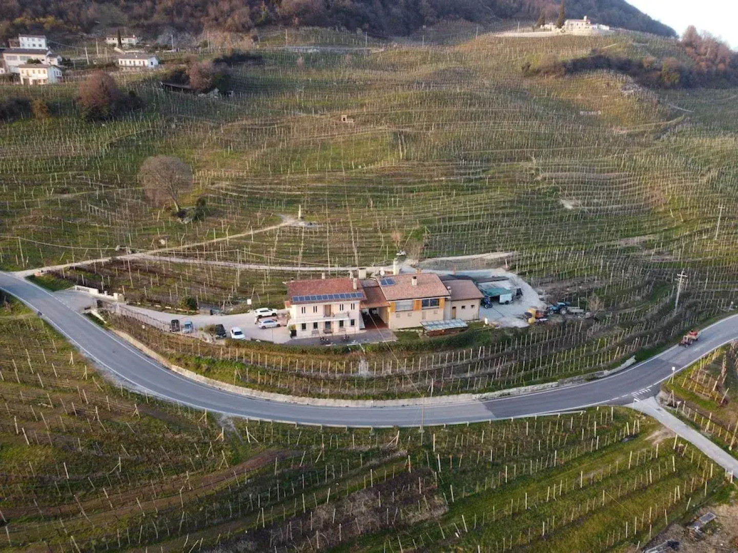 Agriturismo B&B Casa Bortolin