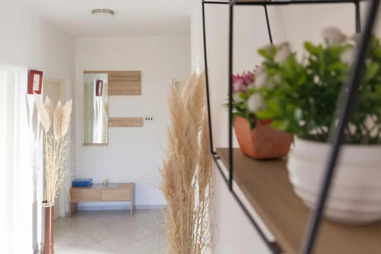 House Jasmin large garden, near Nin