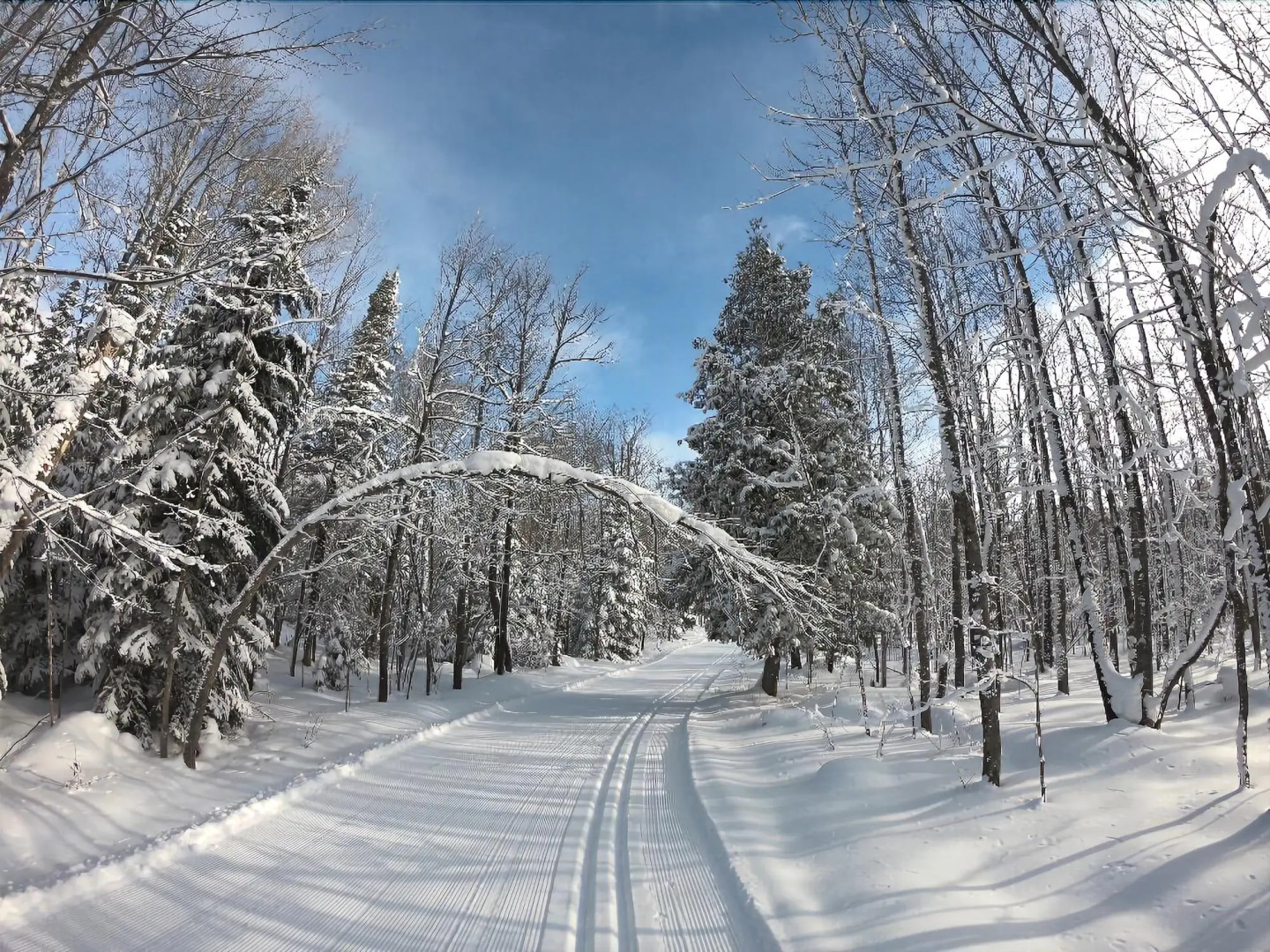 Econo Lodge Hurley-Ironwood