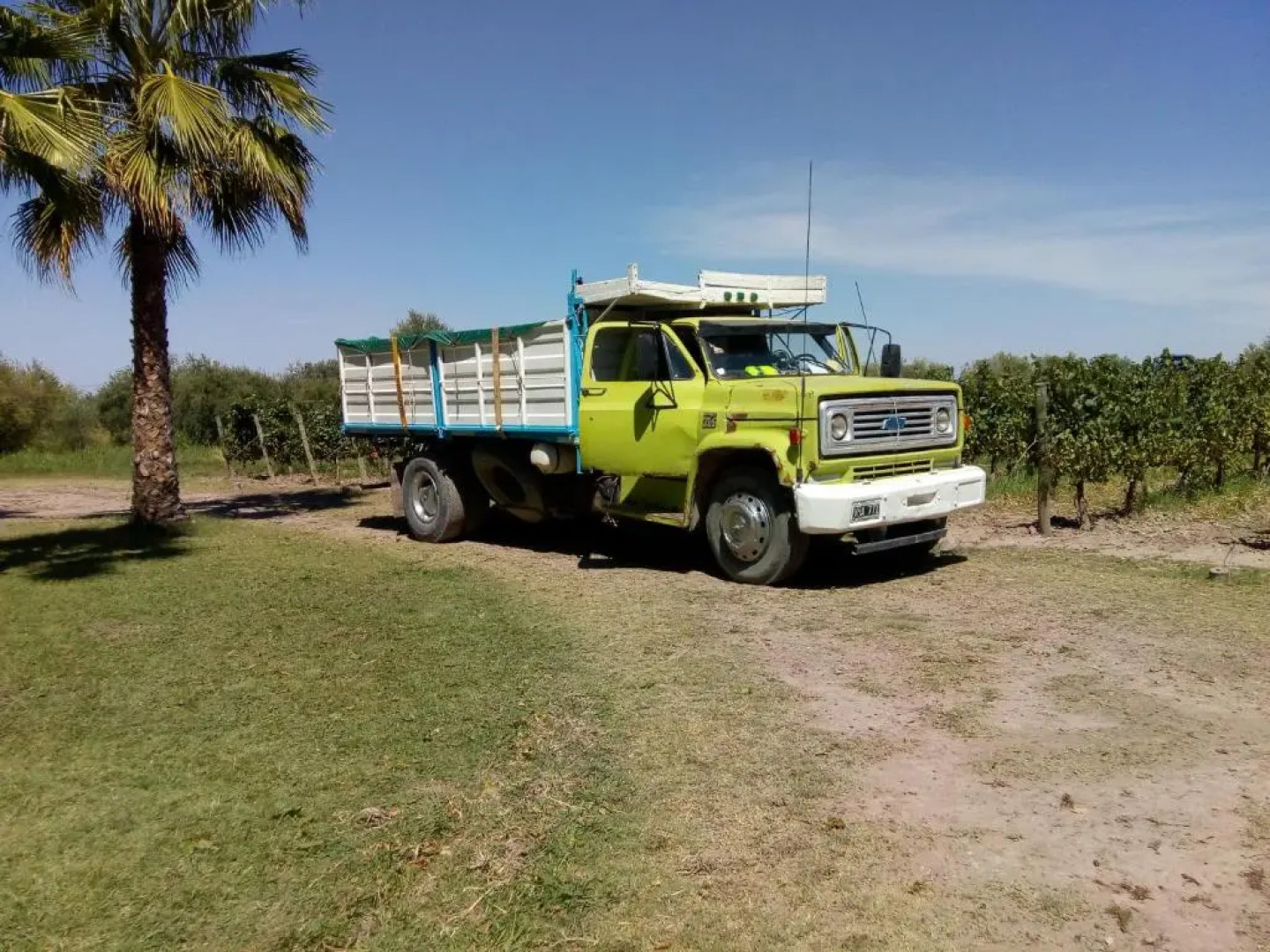 Posada Cavieres Wine Farm