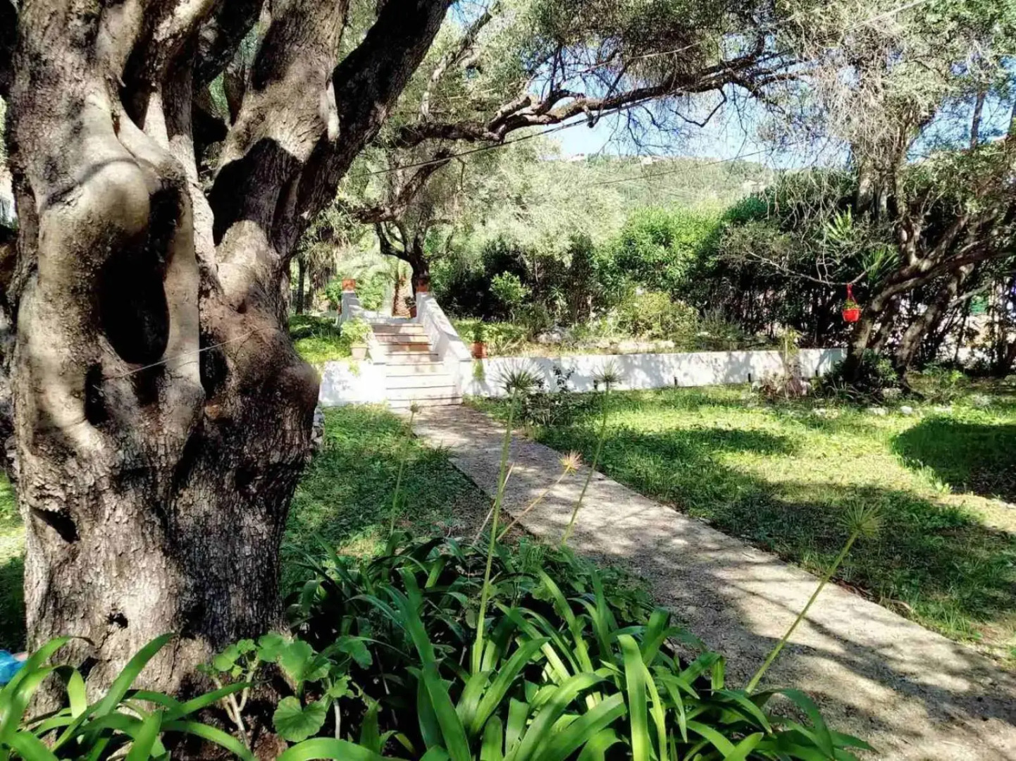 Villa Stefanos apartments