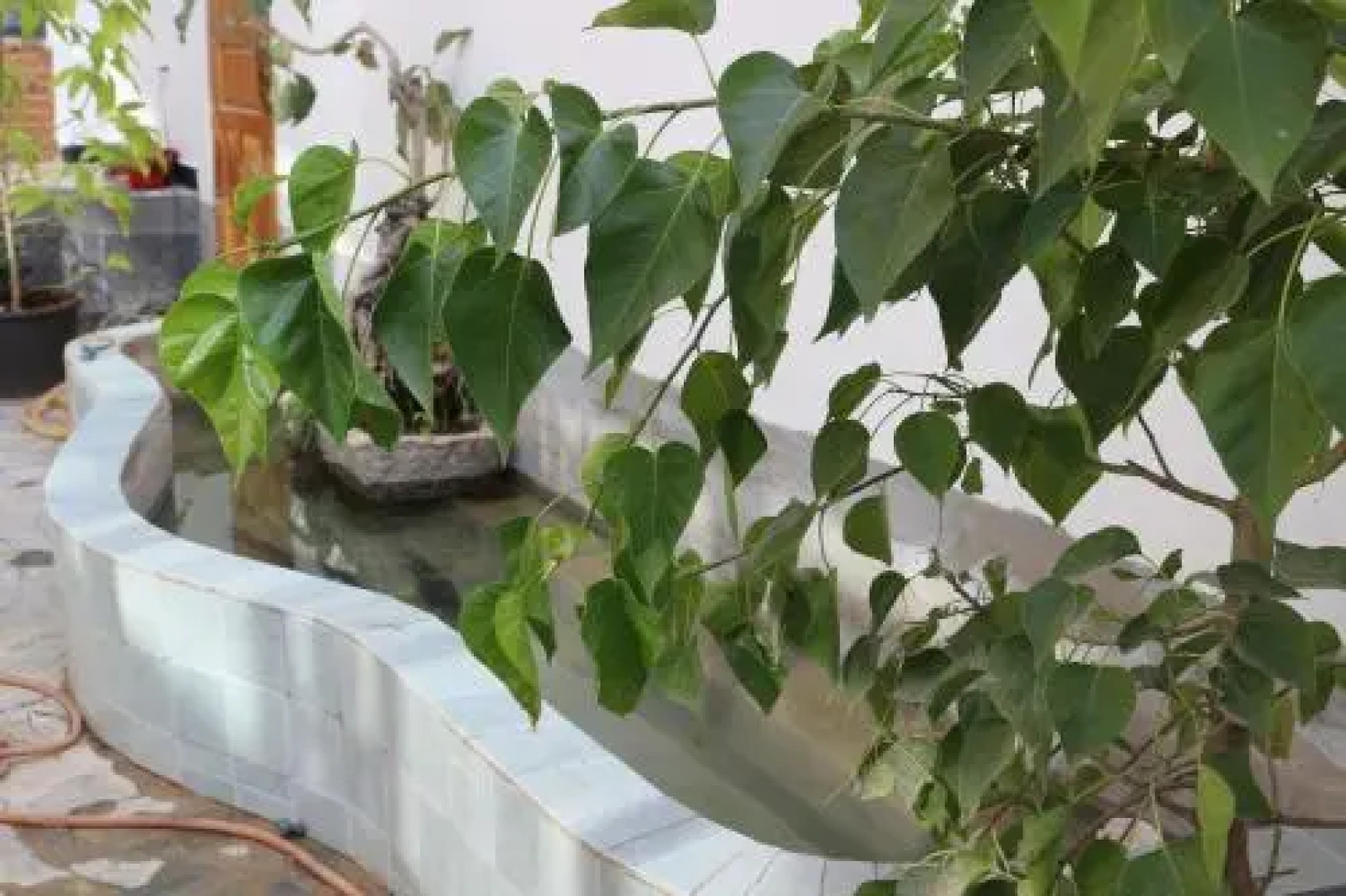 Shuanglang Yunlang Inn