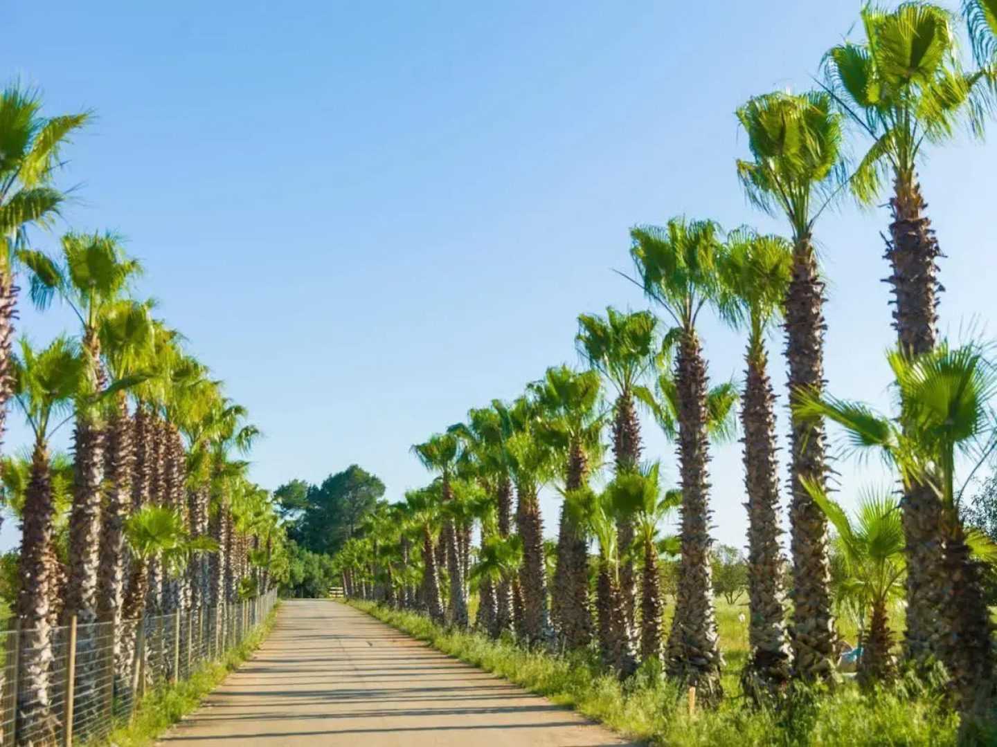 Hotel Sa Bassa Rotja Ecoturisme