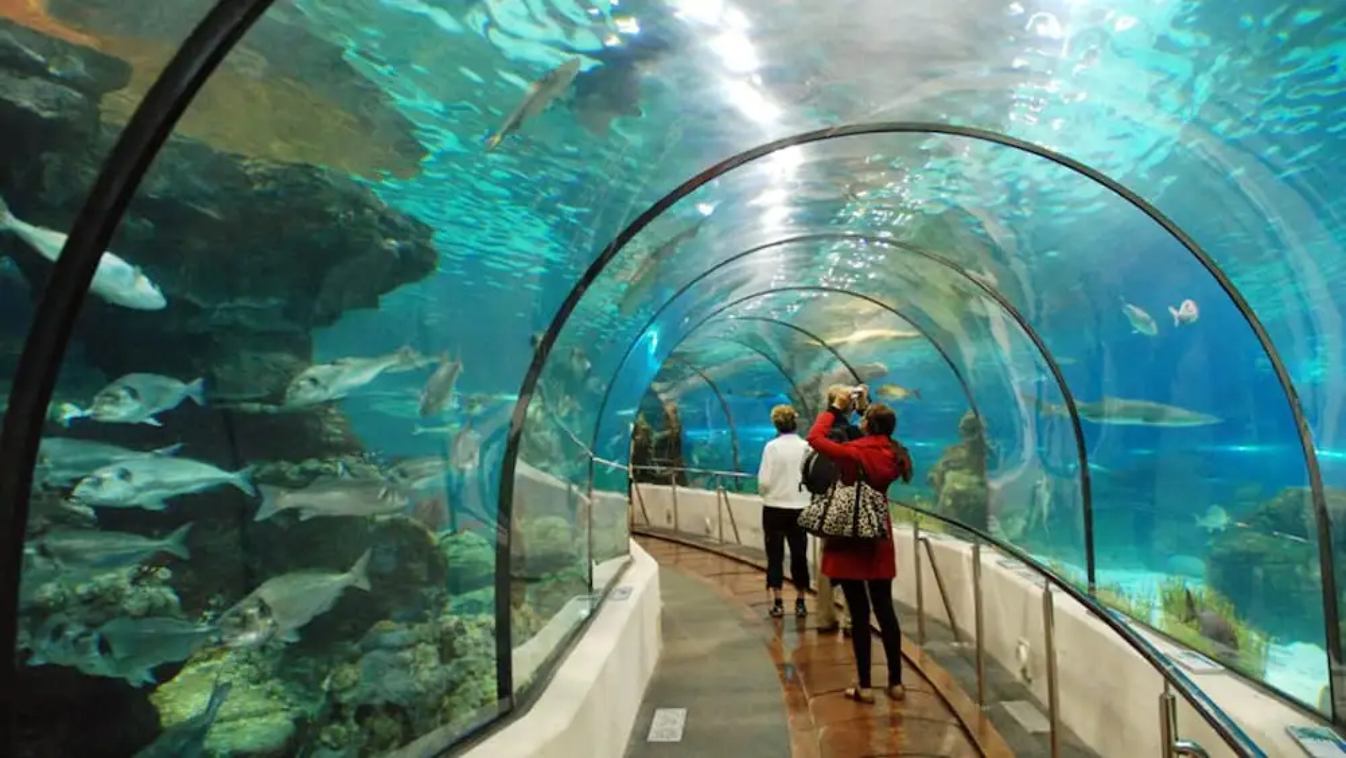 Apartment With 2 Bedrooms in Almuñécar, With Wonderful sea View and Fu