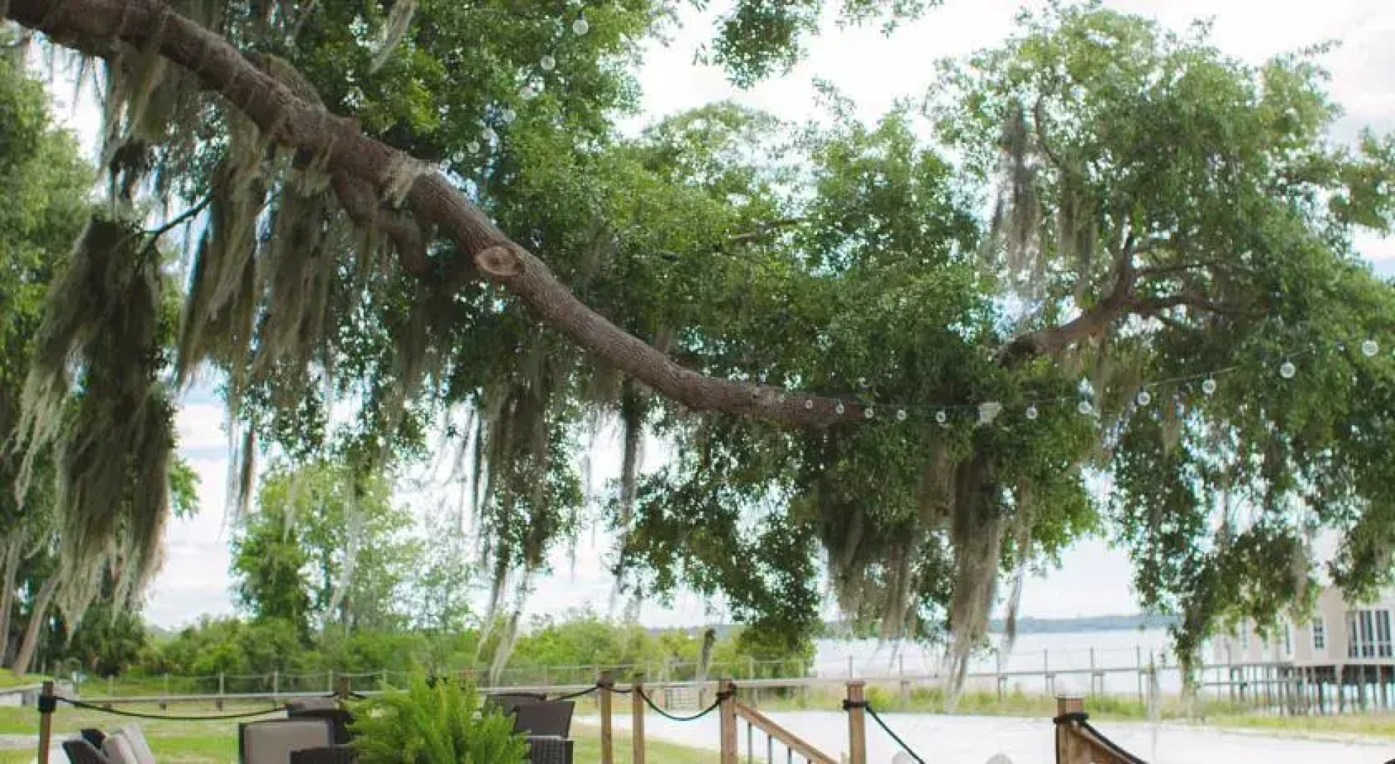 The Nest on Lake Weir