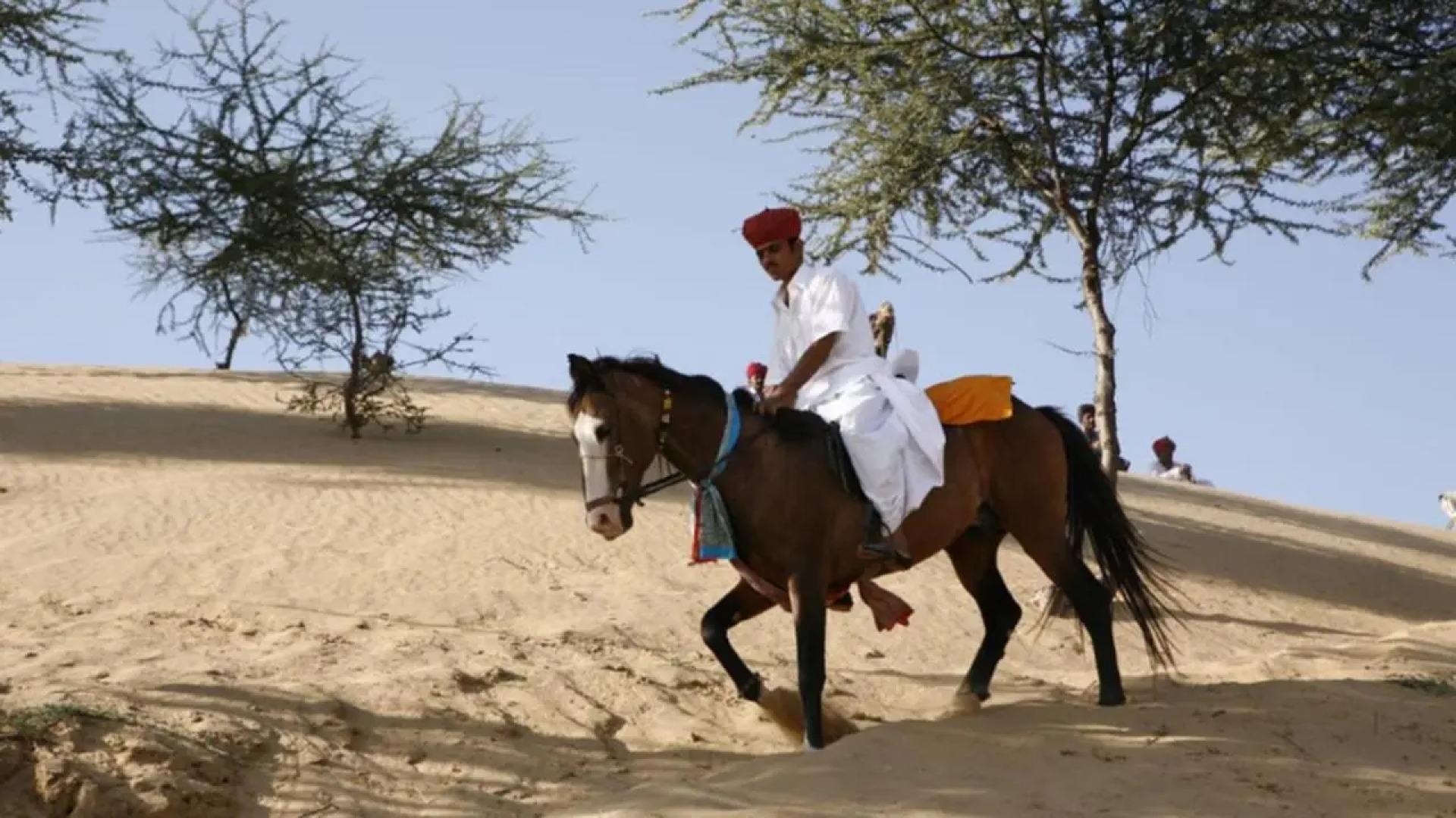 The Desert Haveli Resort and Camp