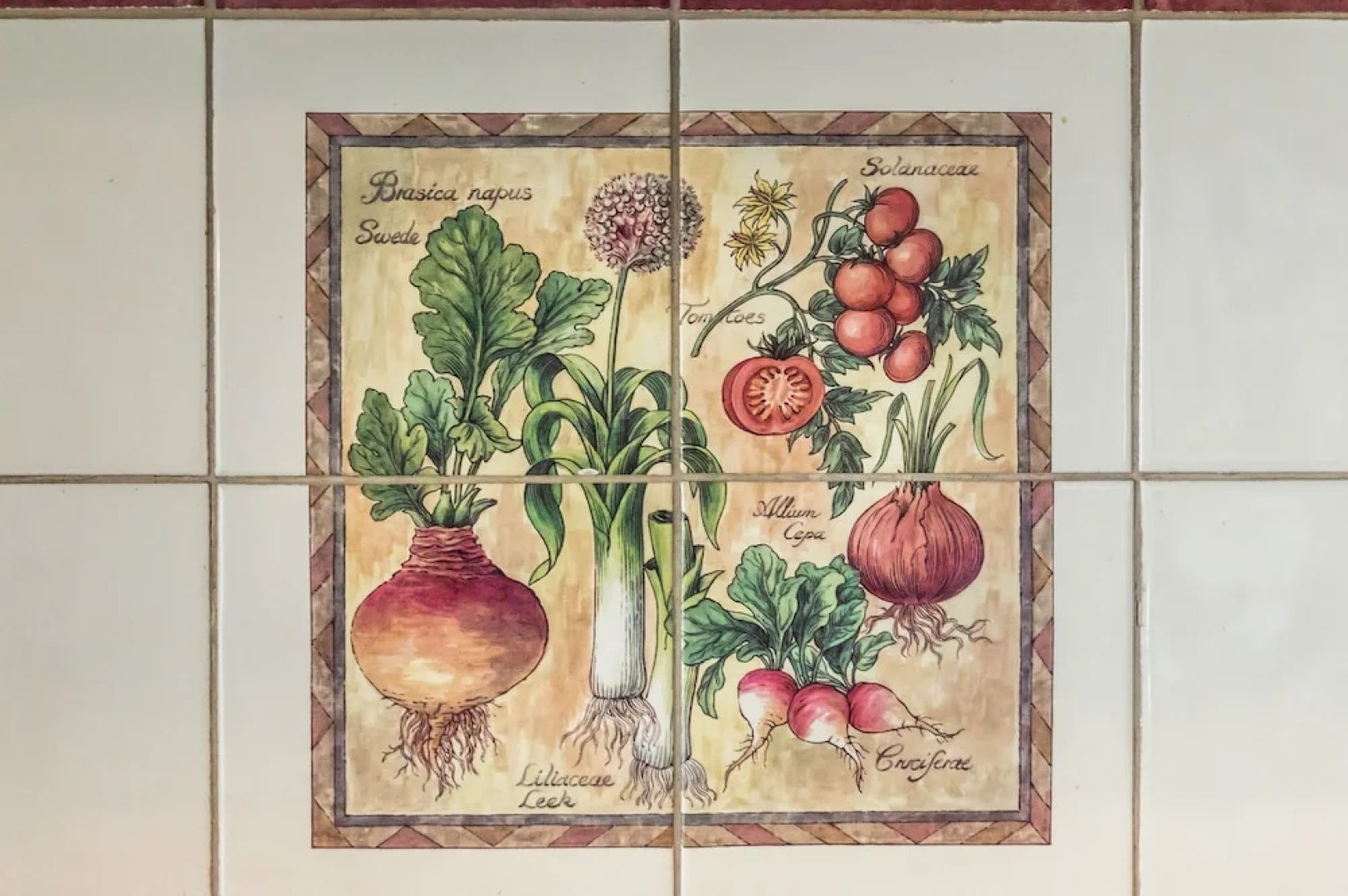 Woodpecker Cottage - Sheepswalk Farm