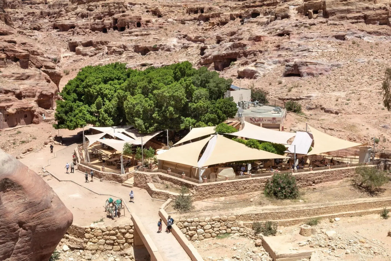Petra Guest House