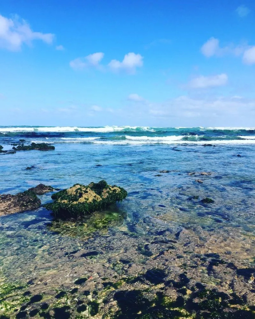 Saltmarsh Boutique Accommodation