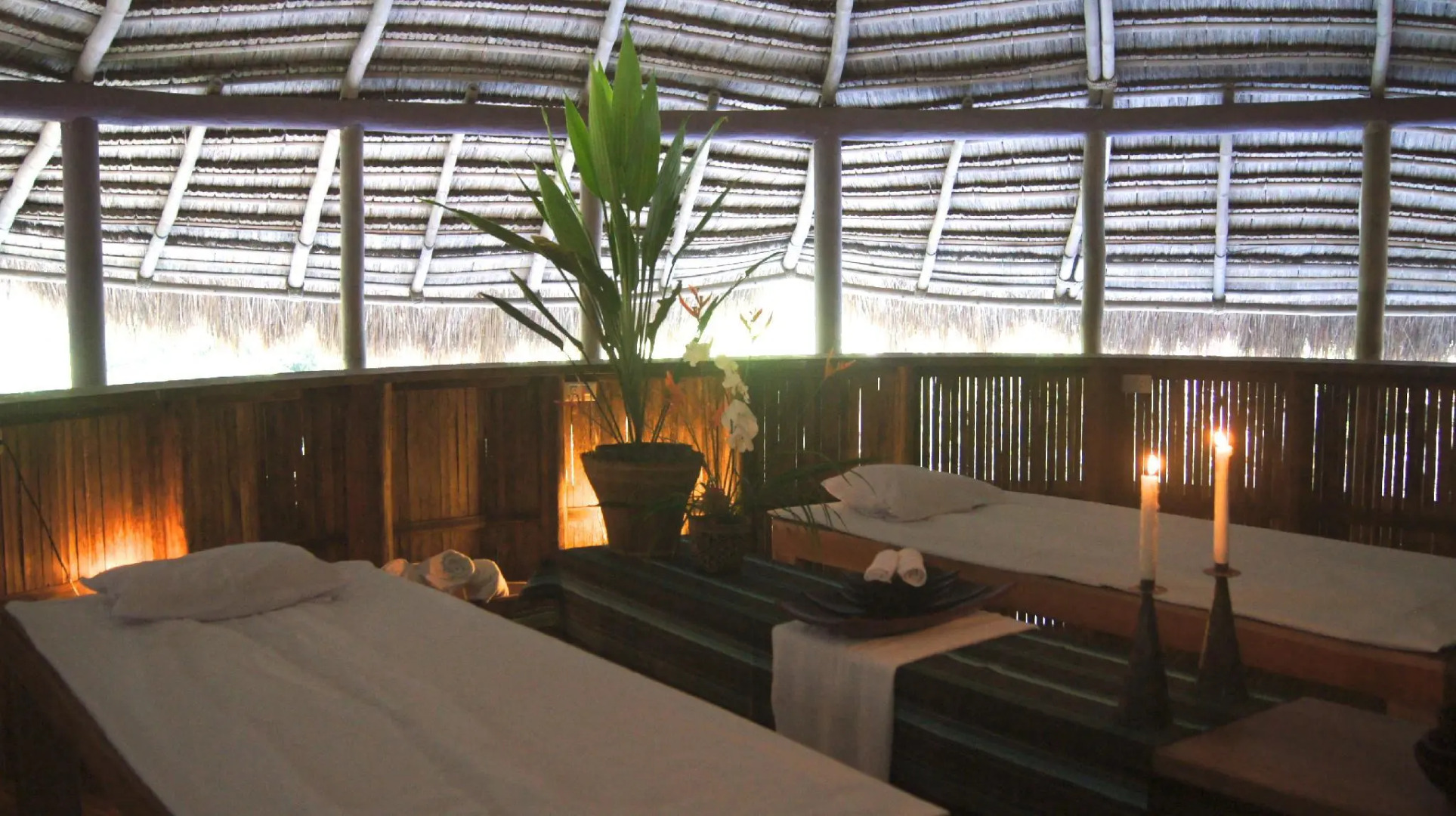 Atremaru Jungle Retreat