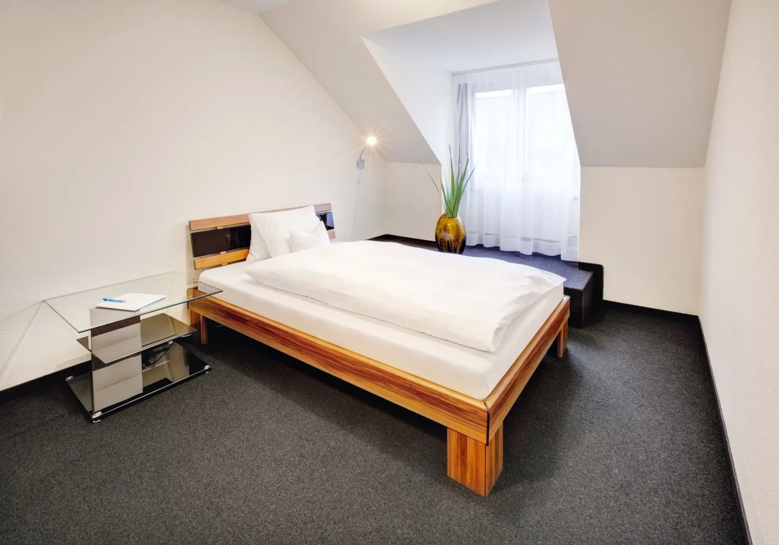 Hotel Schiff am Rhein