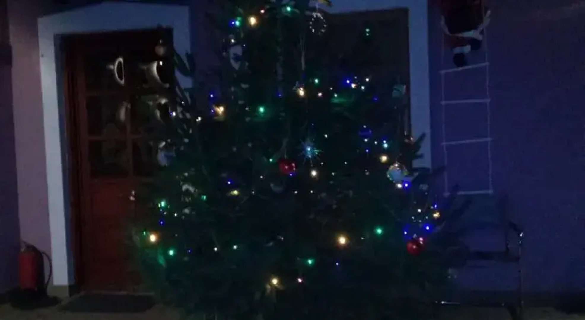 Vigyi Apartman Gyula