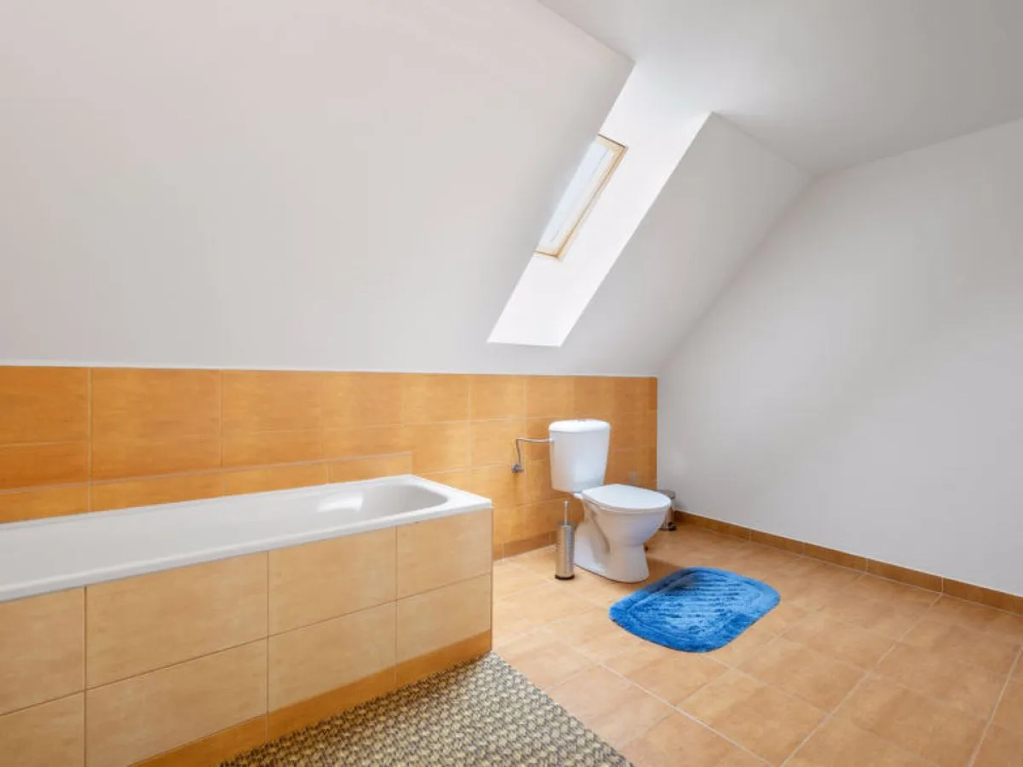 Rokytnice v Orlických horách