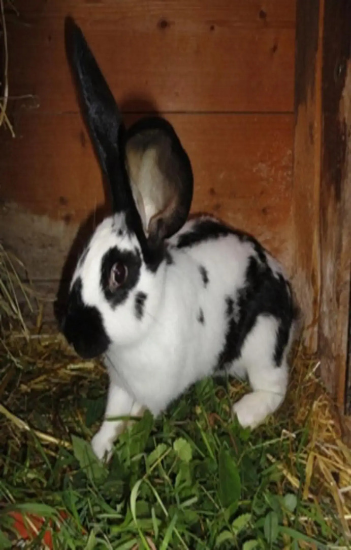 Urlaub im Herrenholz