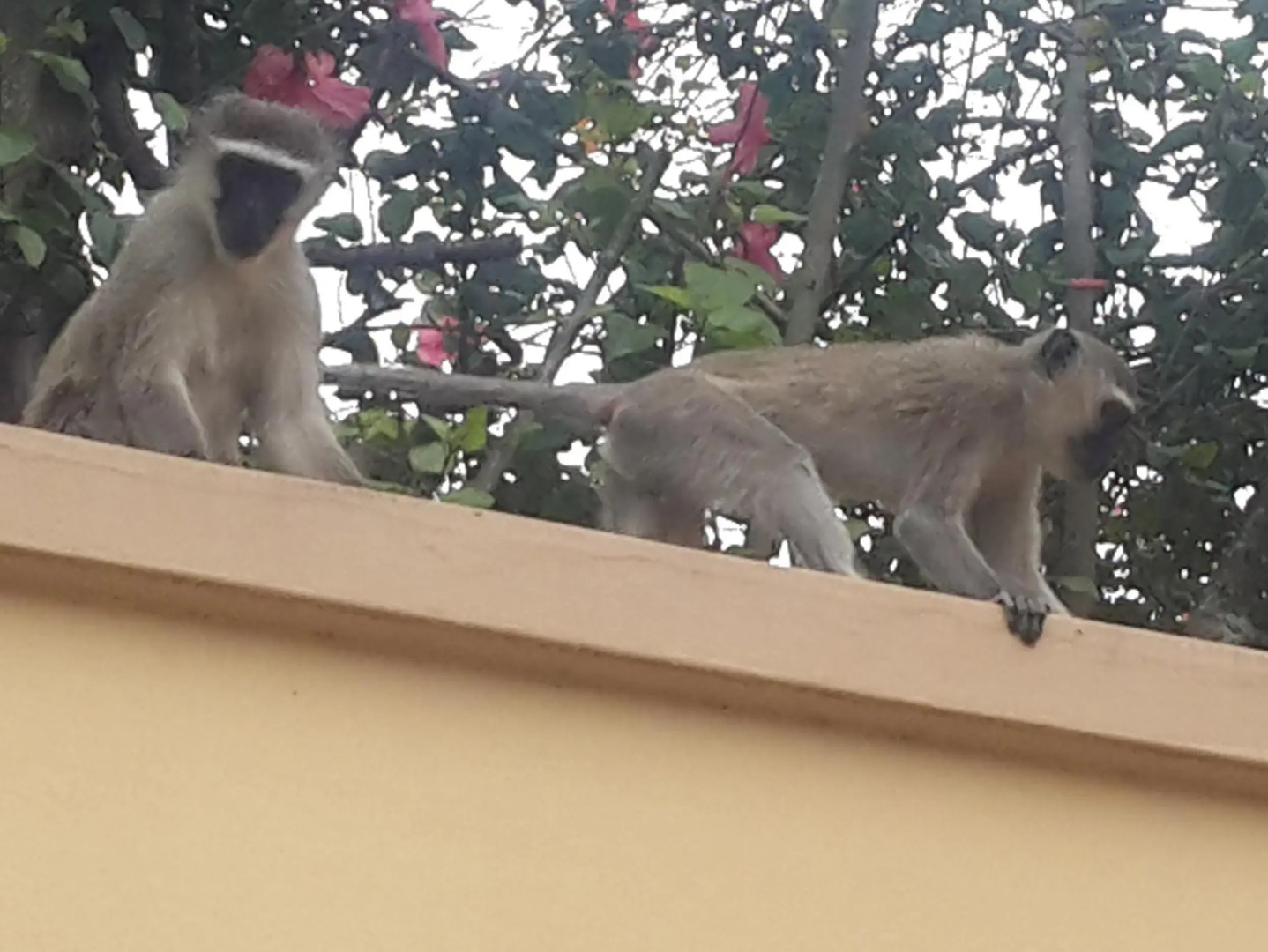 Sibakwa B&B Guesthouse