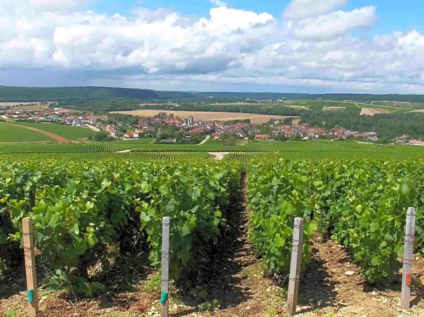 Château Tour Saint-Fort