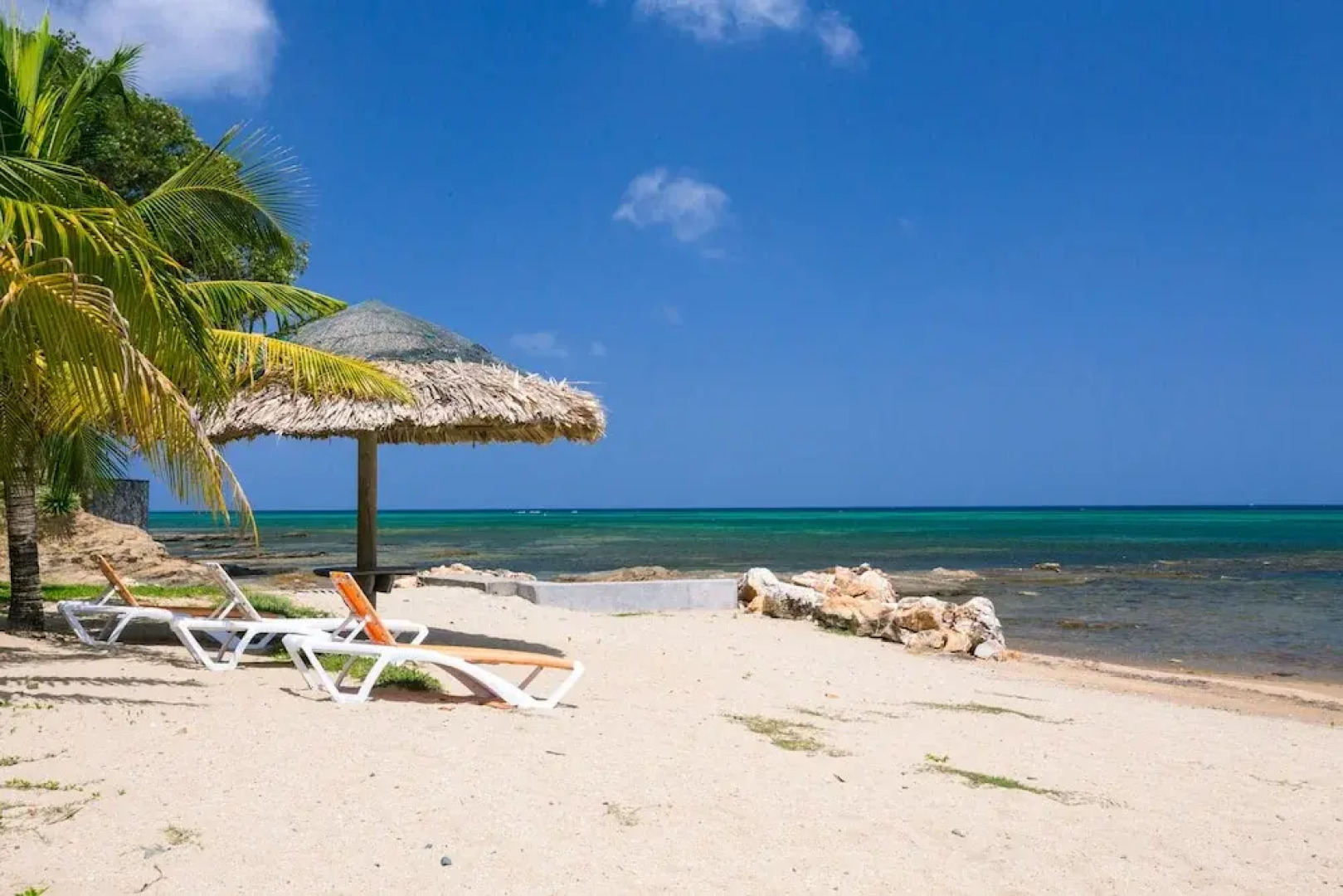 Lawson Rock - Angelfish 203