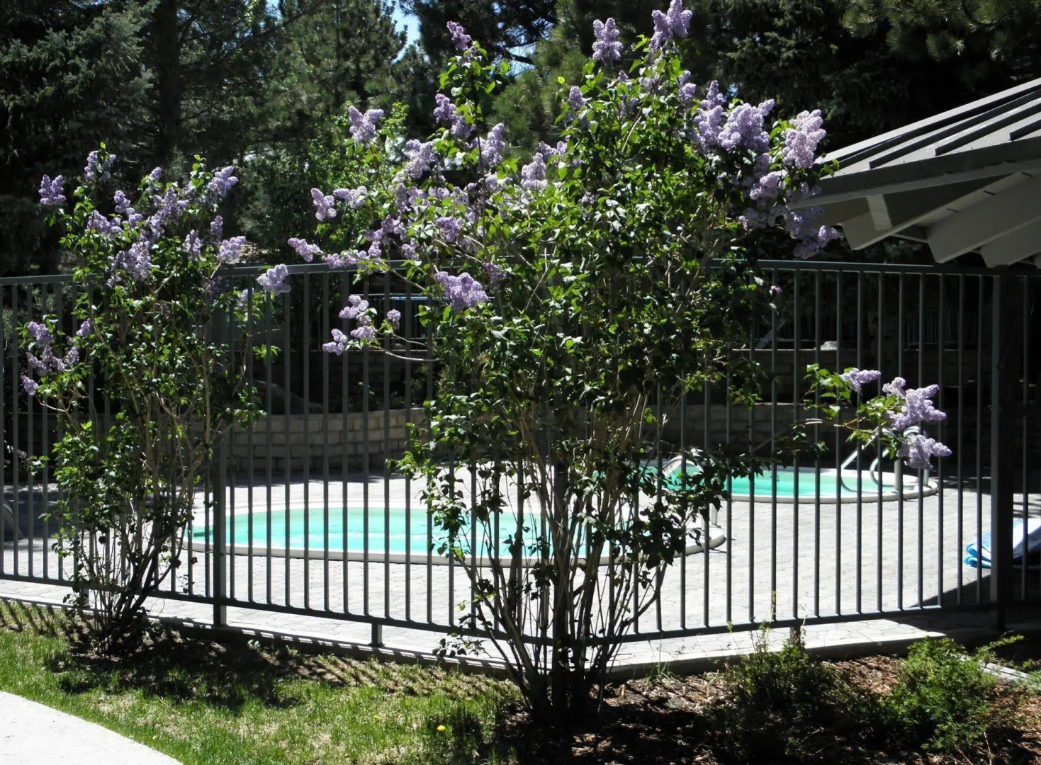 Sierra Park Villas