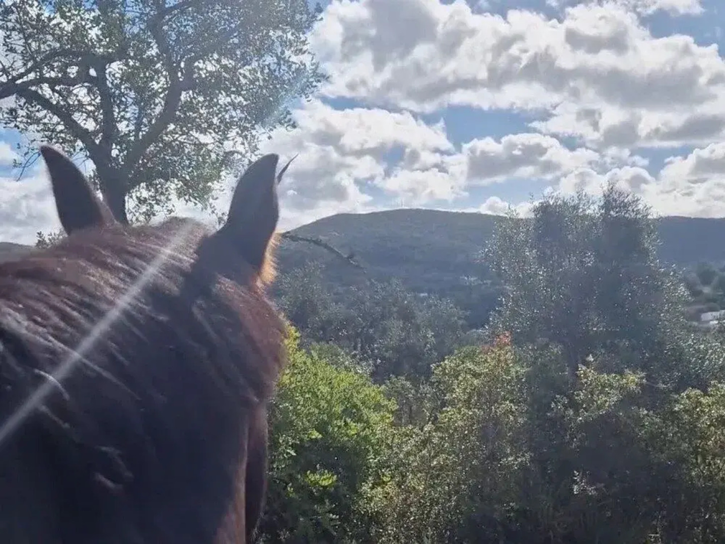 Tiny House Loule Algarve