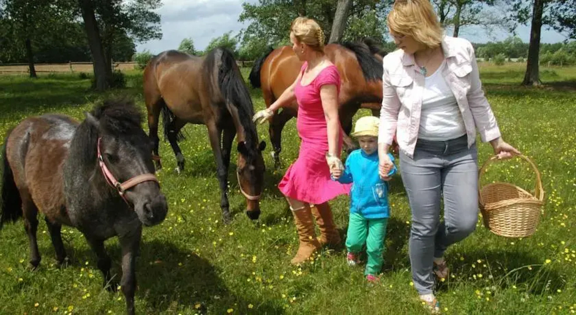 Pensjonat Stadnina Red Lion Farm