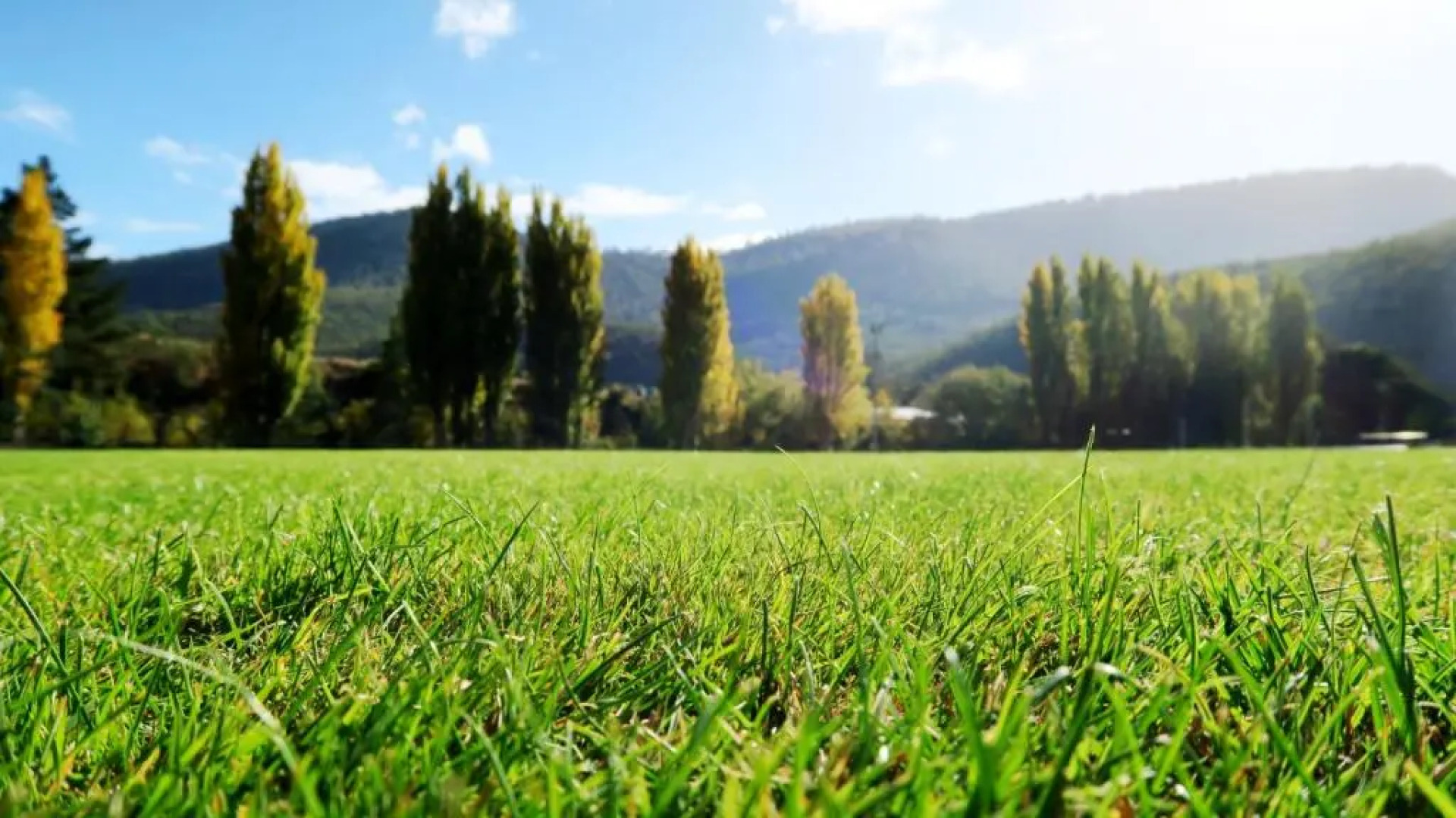 Junction Motel New Norfolk