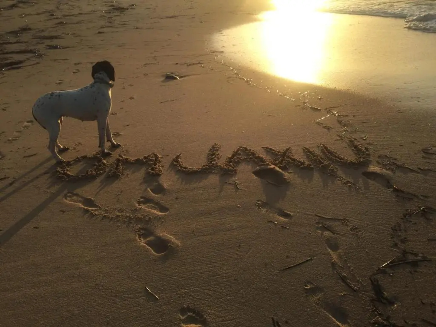 Albergo Diffuso Omu Axiu