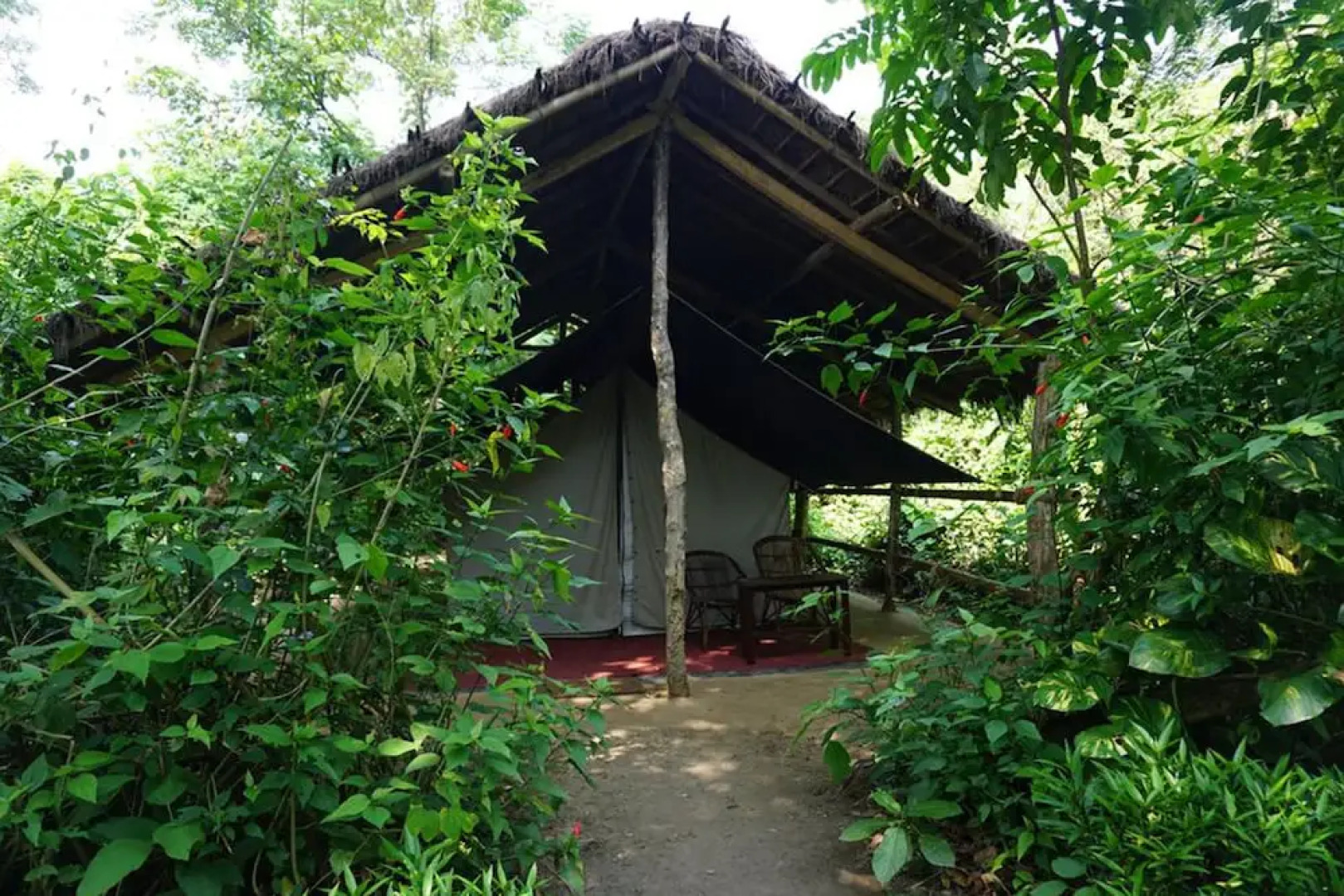 Tiger Tops Tharu Lodge