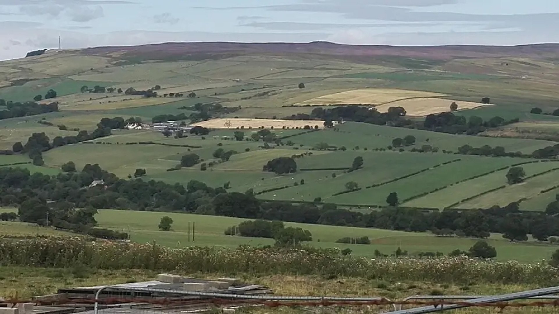 Newlands Hall Farmouse B&B