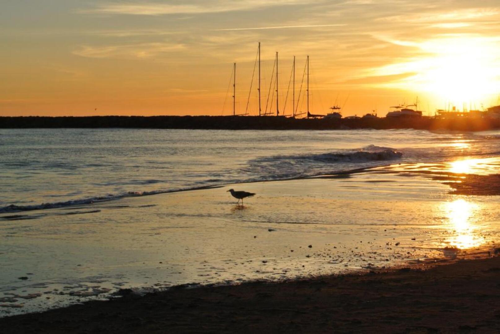 Hôtel Les Palmiers en Camargue