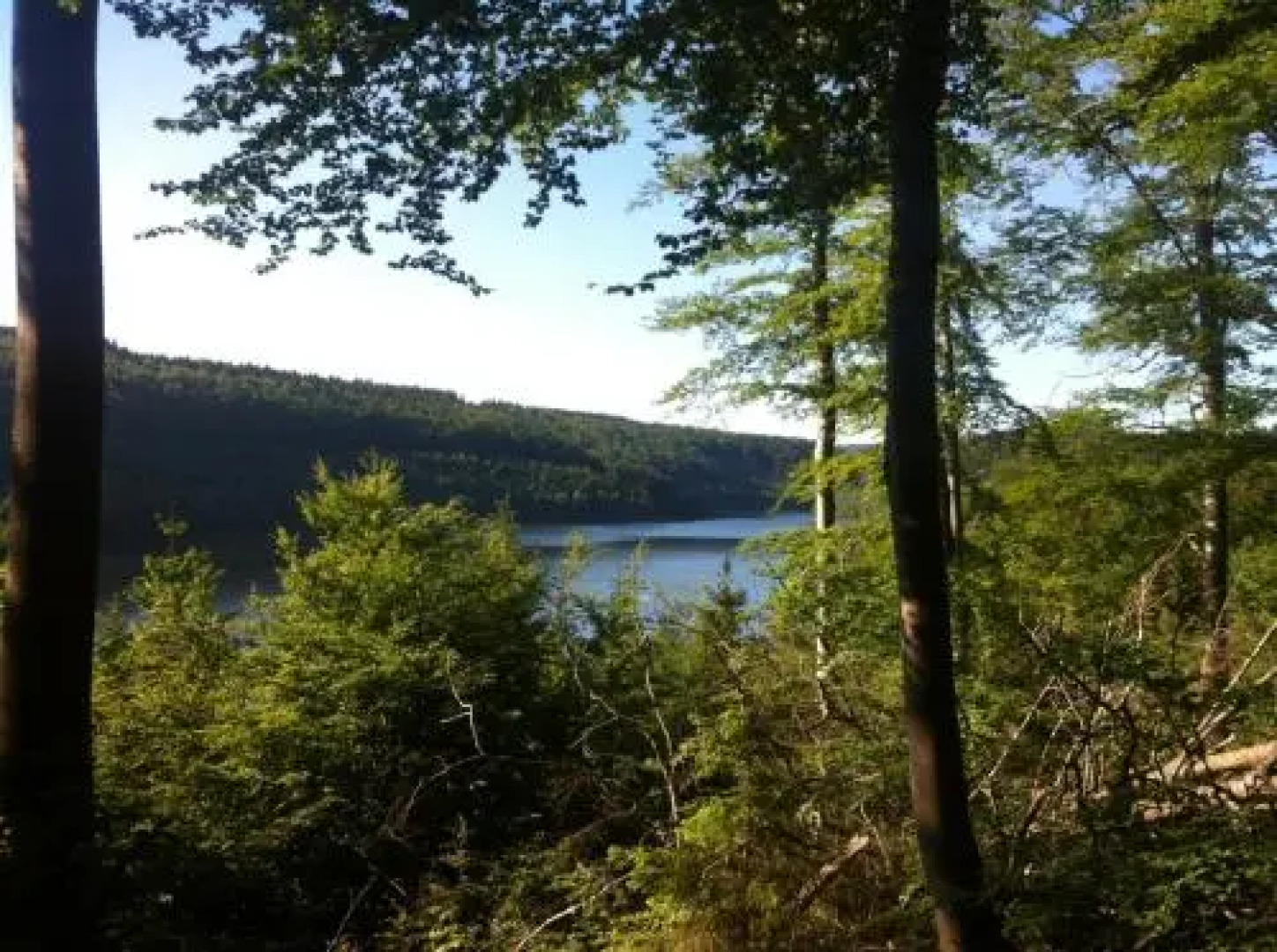 Ferienwohnung im Grünen