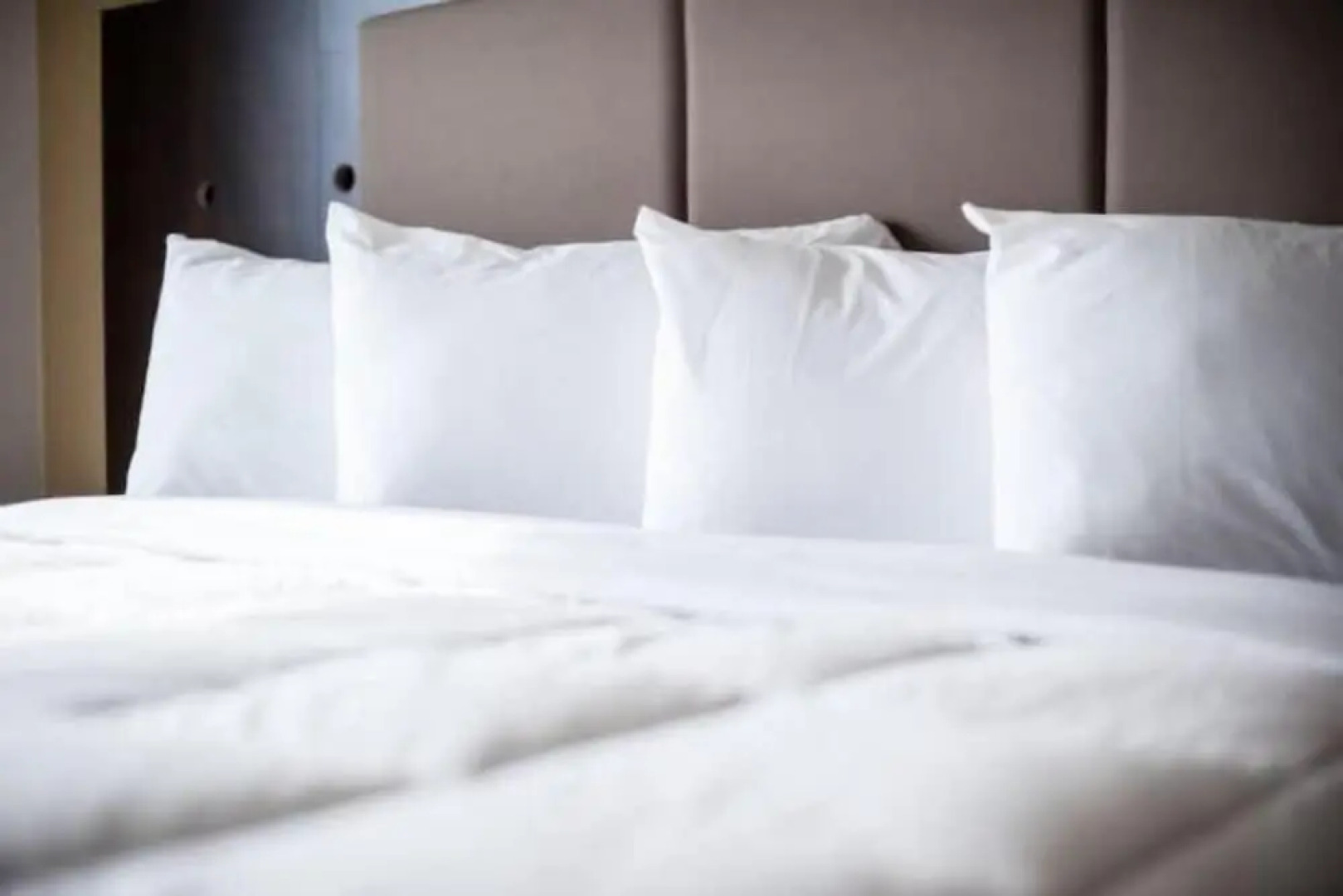 Carlyle Western Star Inn & Suites