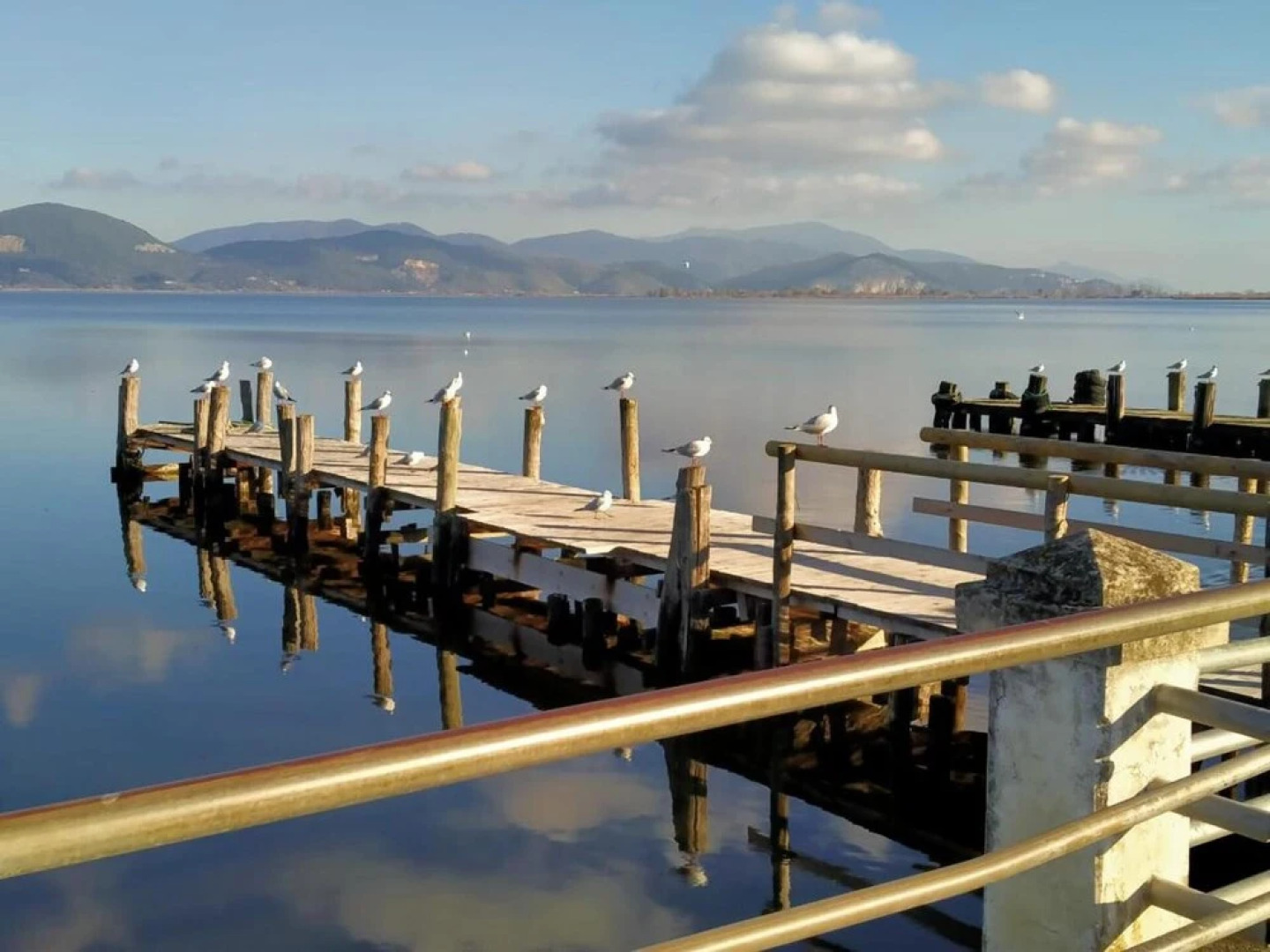 Comfort Mobilehome Camping in Viareggio 5pers R28