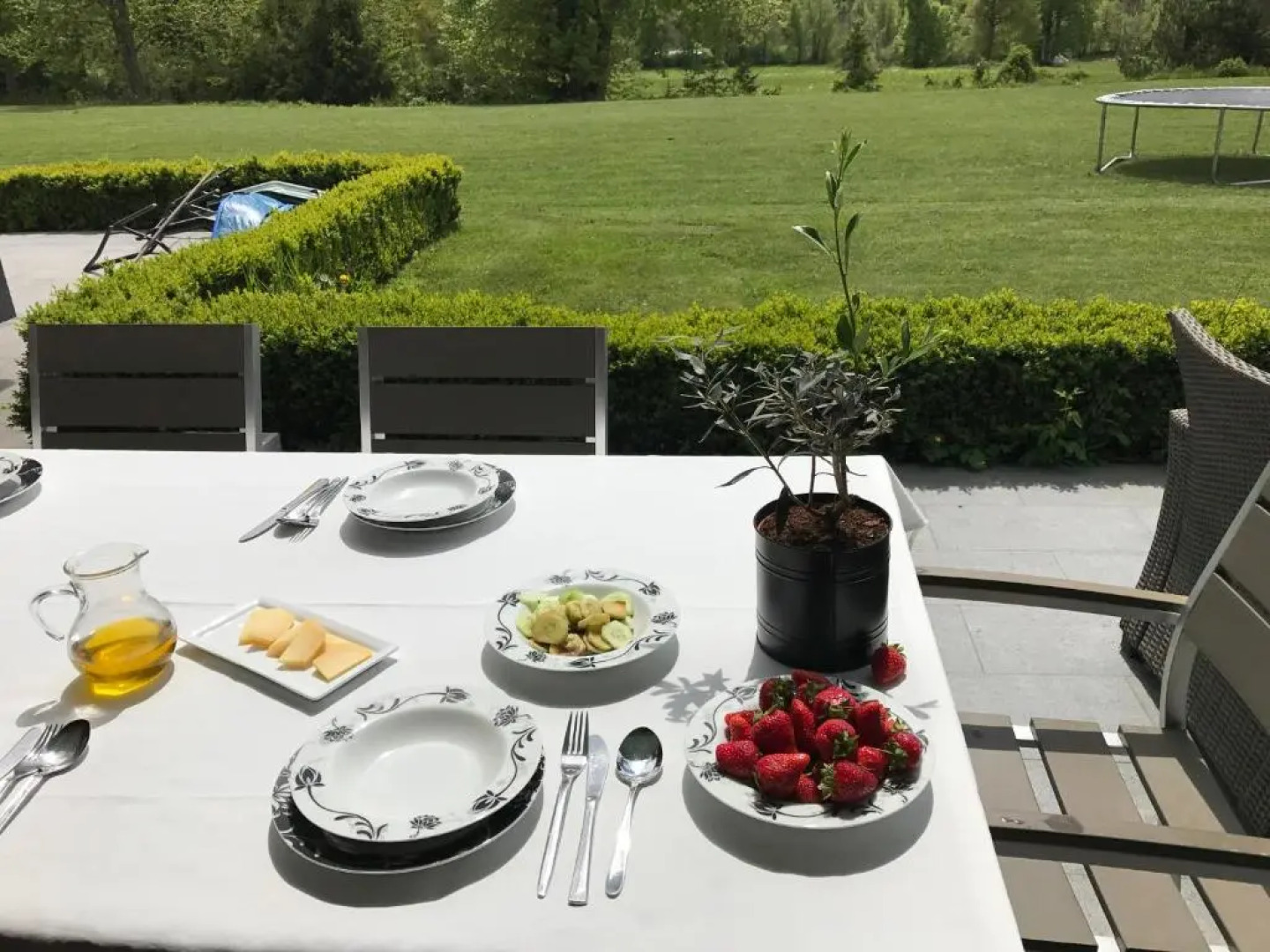 Linden Garden Apartment