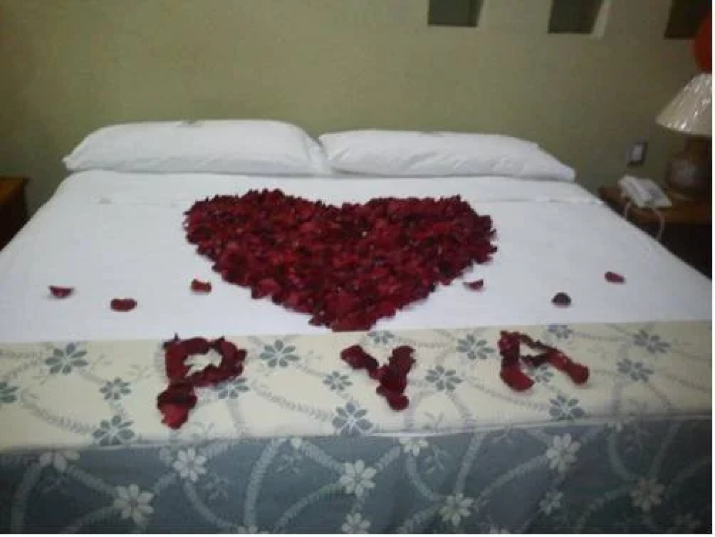 Hotel Laguna Tampico