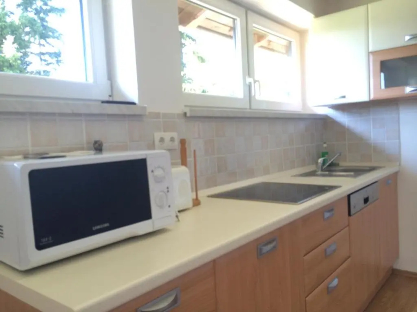 Tourist Farm Pačnik