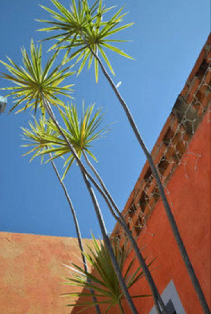 El Jardin Hotel & Restaurant