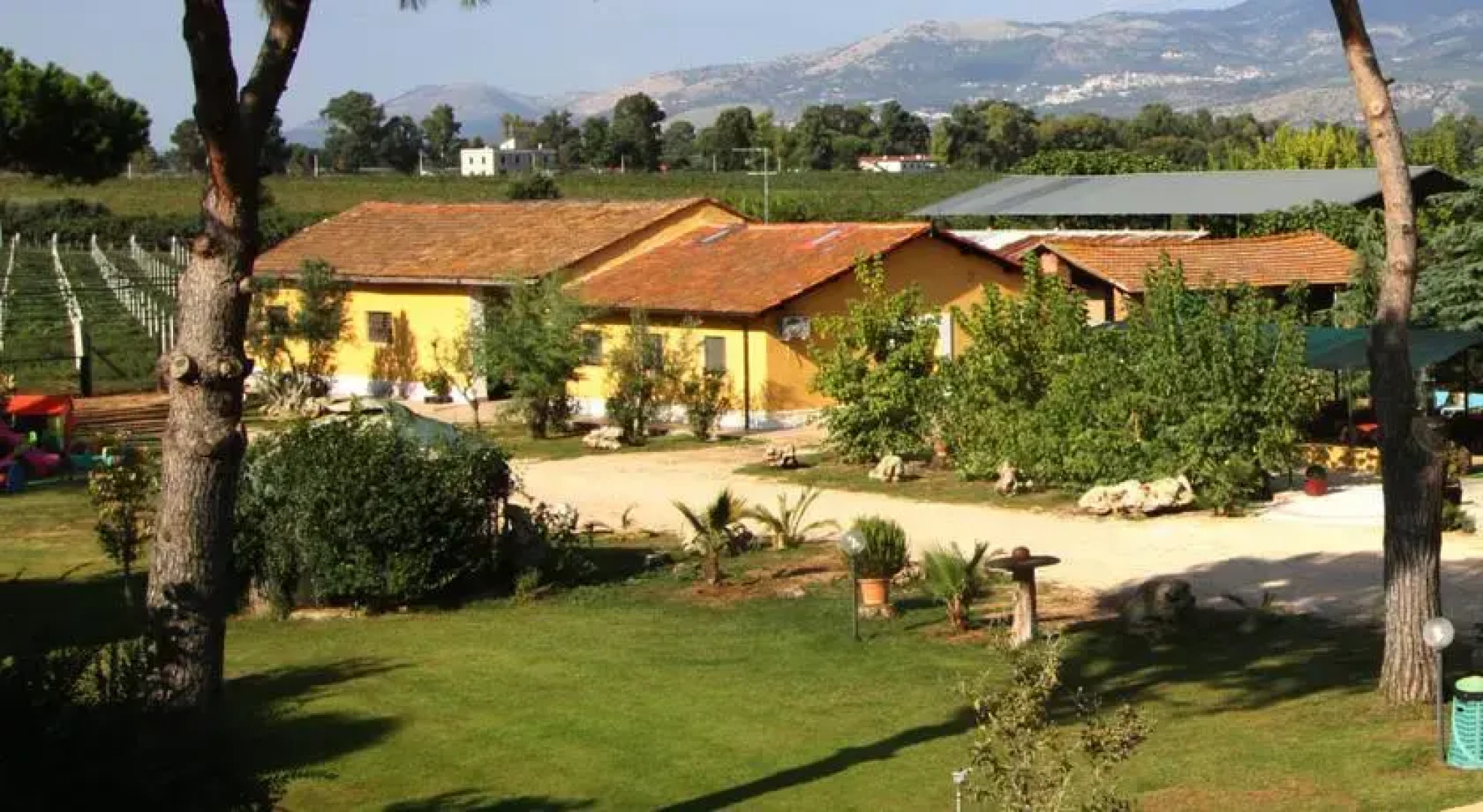 Agriturismo Ali E Radici