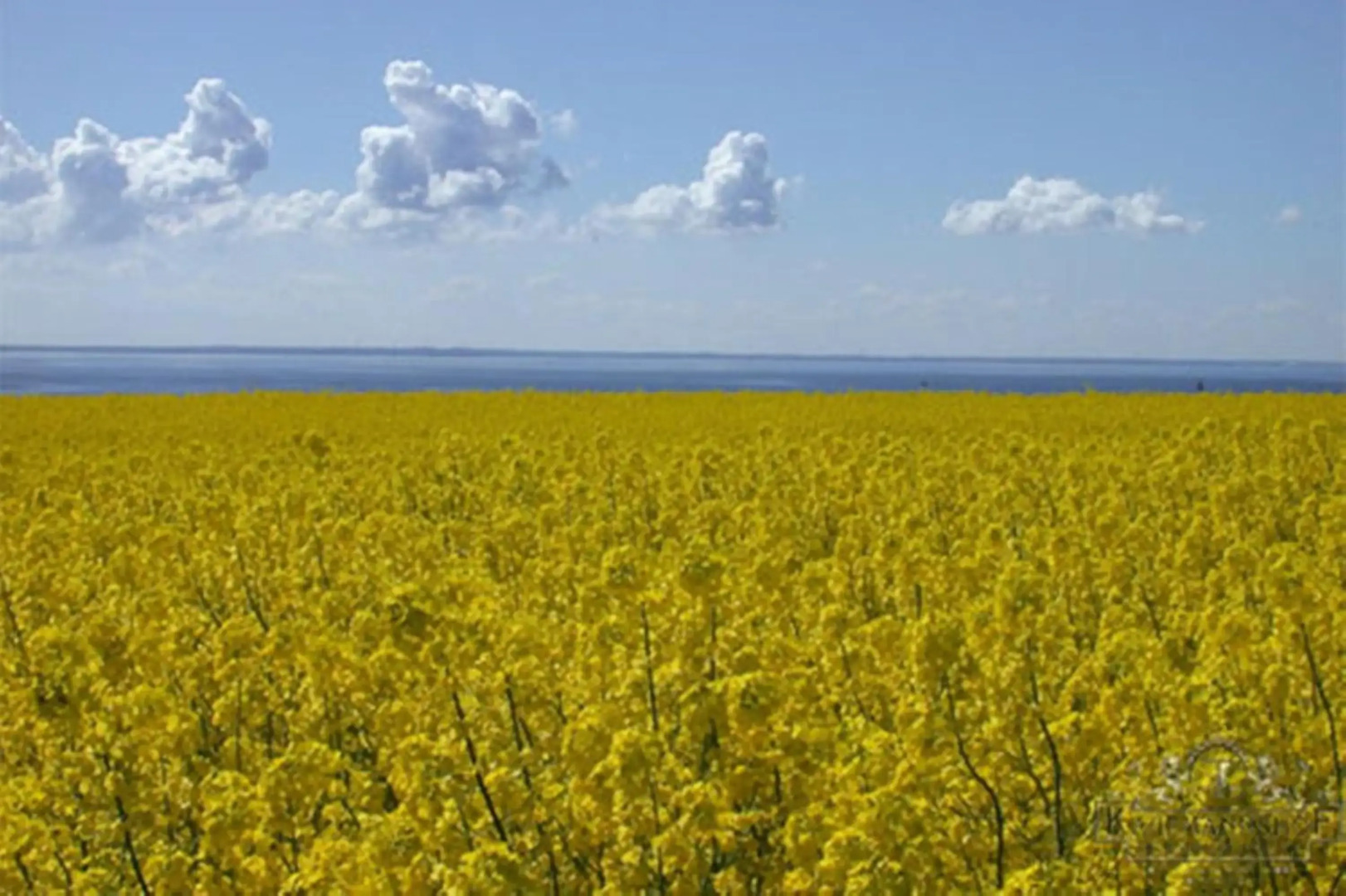 Romantik Hotel Kaufmannshof