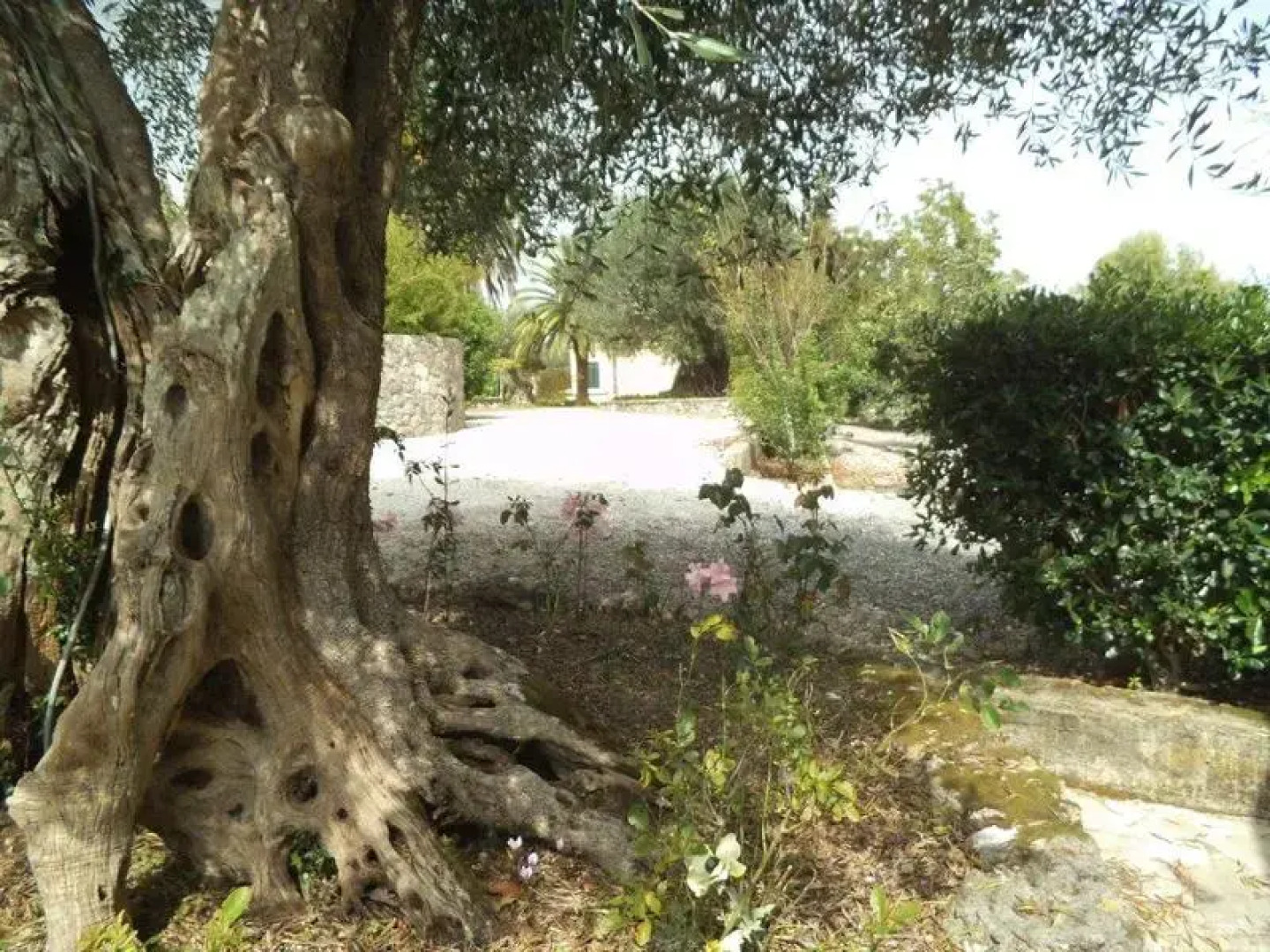 La Perla Villa