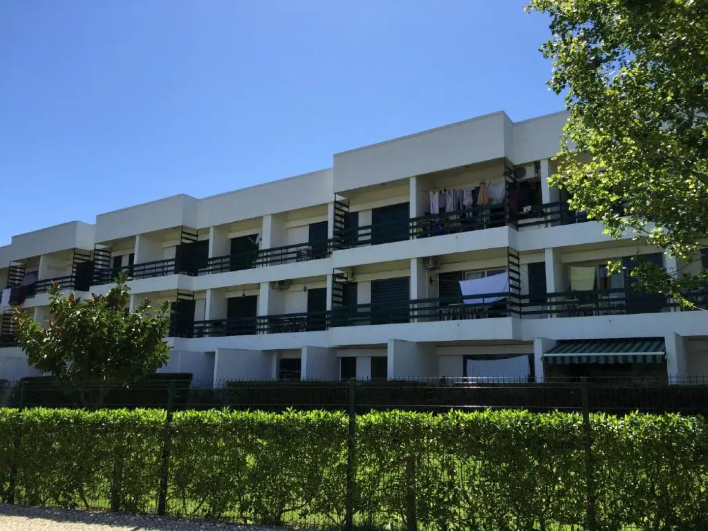 Peixe and Barco Studios