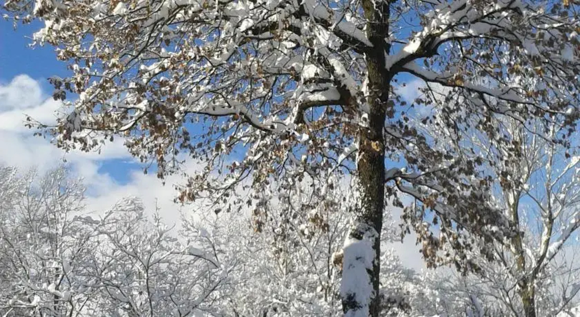 Agriturismo Casa Volpa