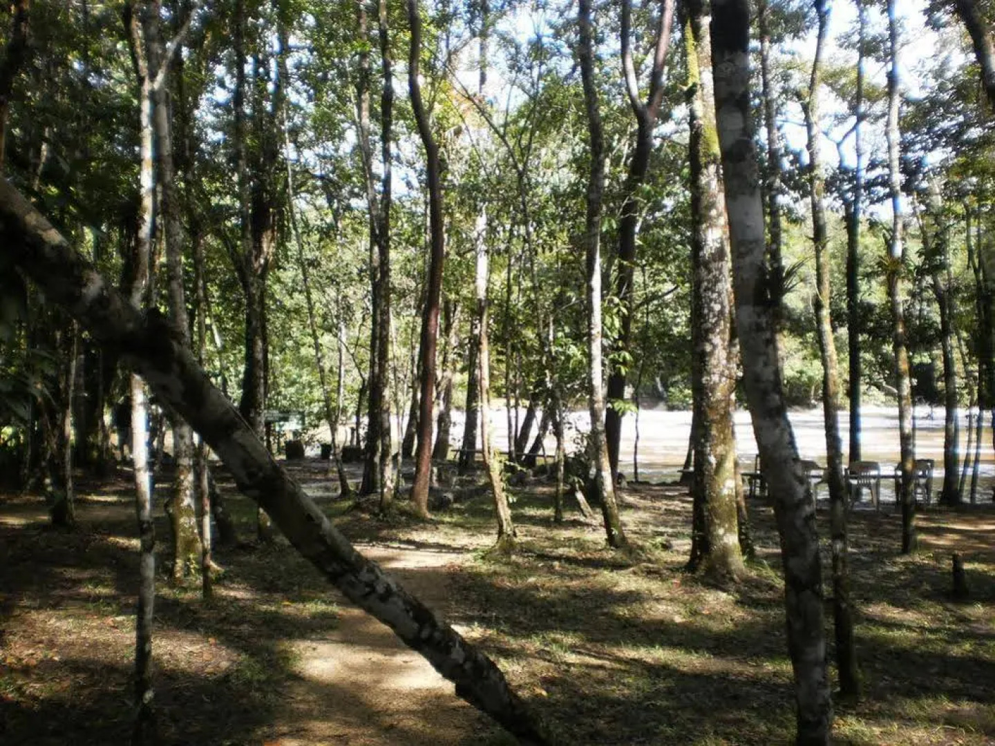 Ecolodge Lacandones - Selva Lacandona