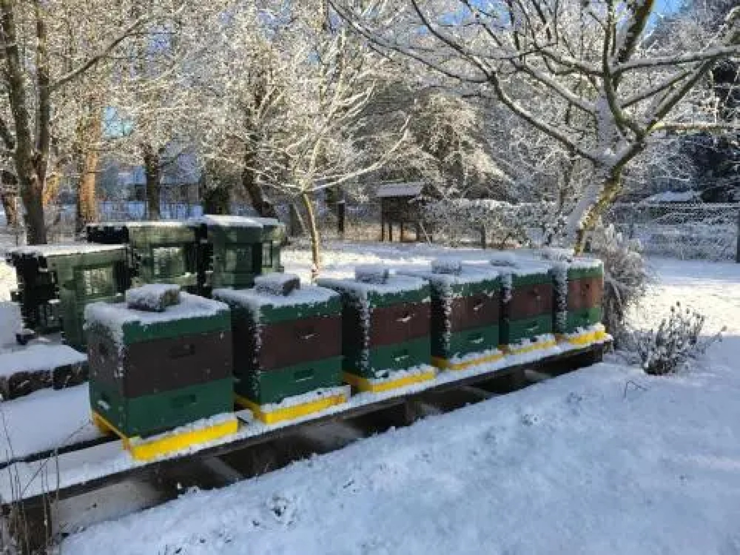 Ferienwohnungen direkt am Wasser