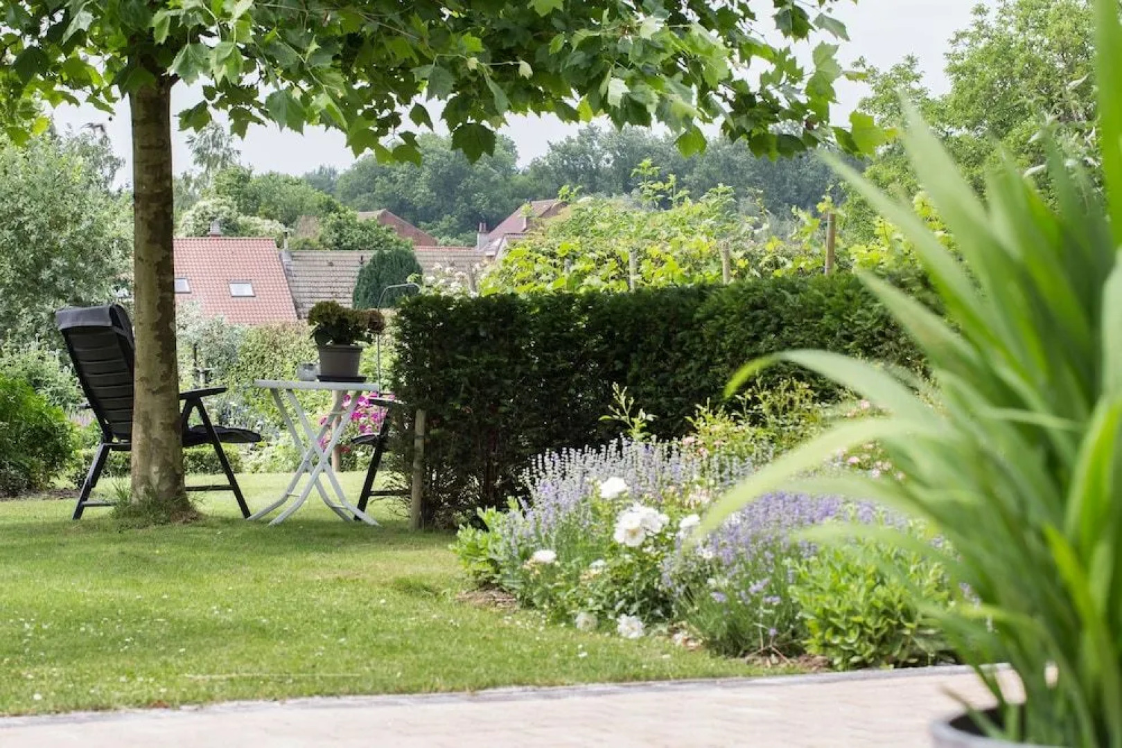 Barbara's Bed&Breakfast