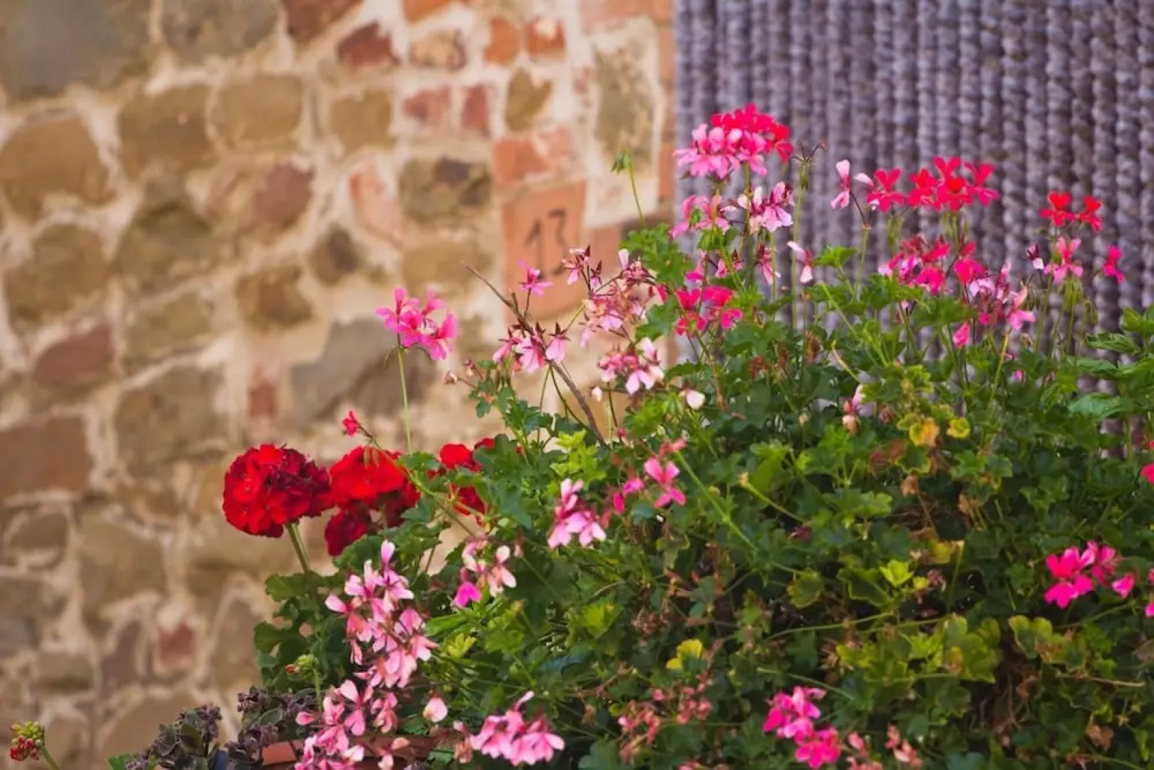 La Paterna Di Rigomagno