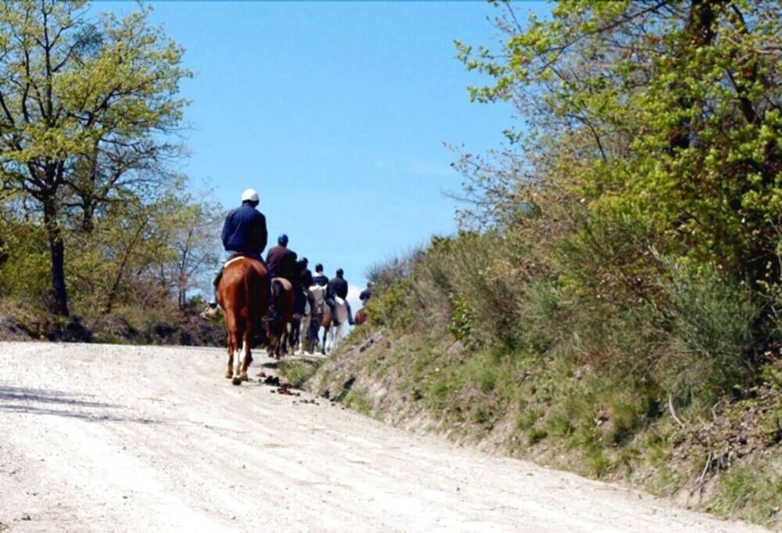 Az.Agr. Il Cavalleggero