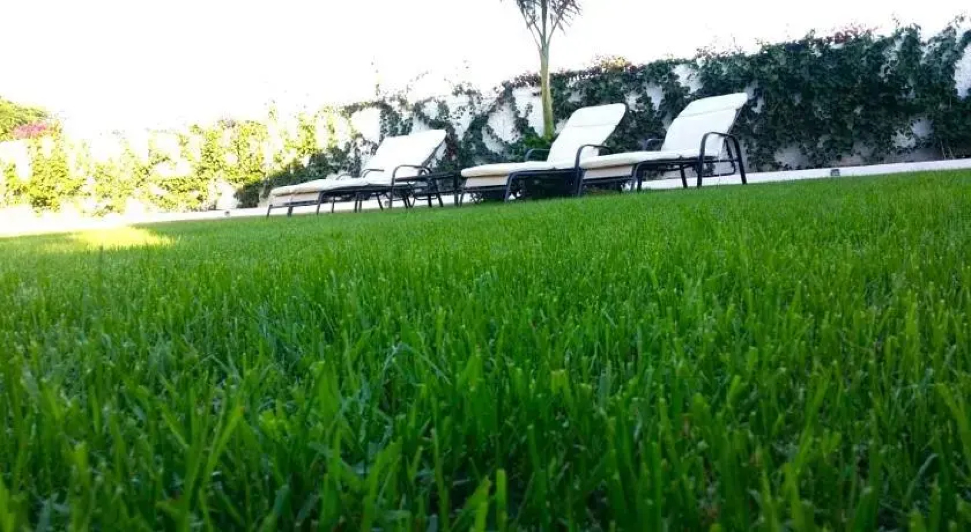 Holiday home Buganvilla