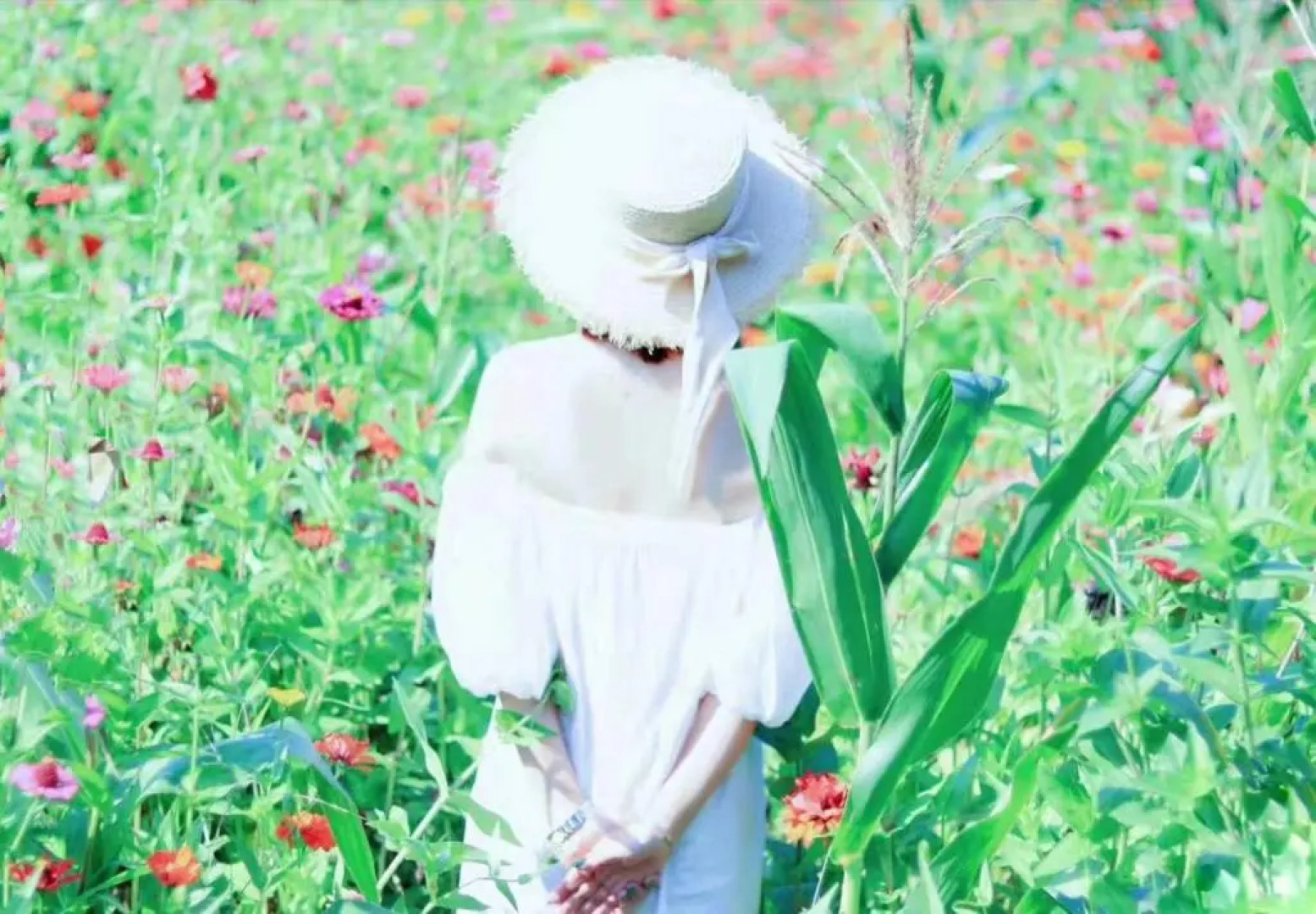 Resort No.21 of Fuxi-National Forest Park