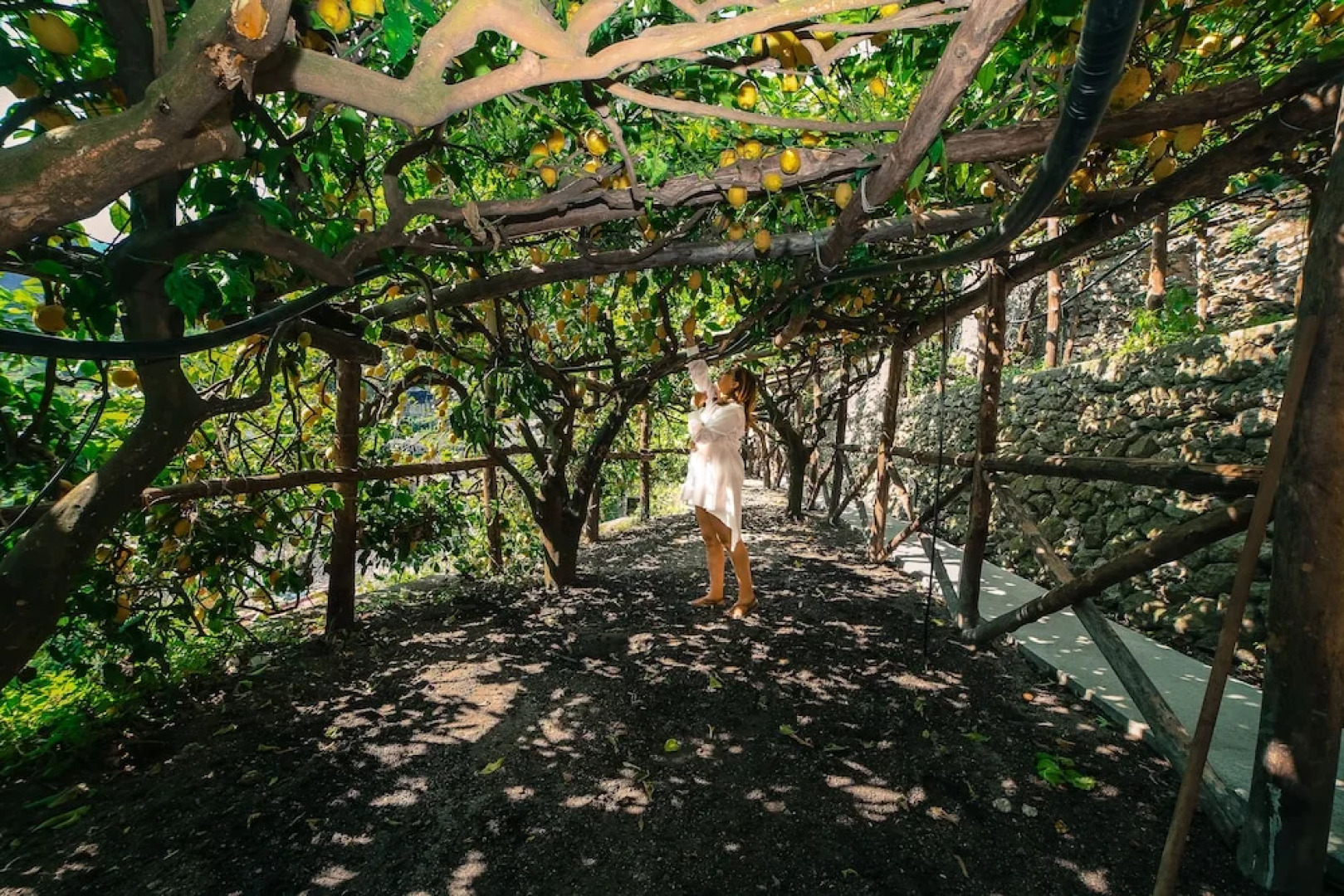 Pontone Hills on Amalfi
