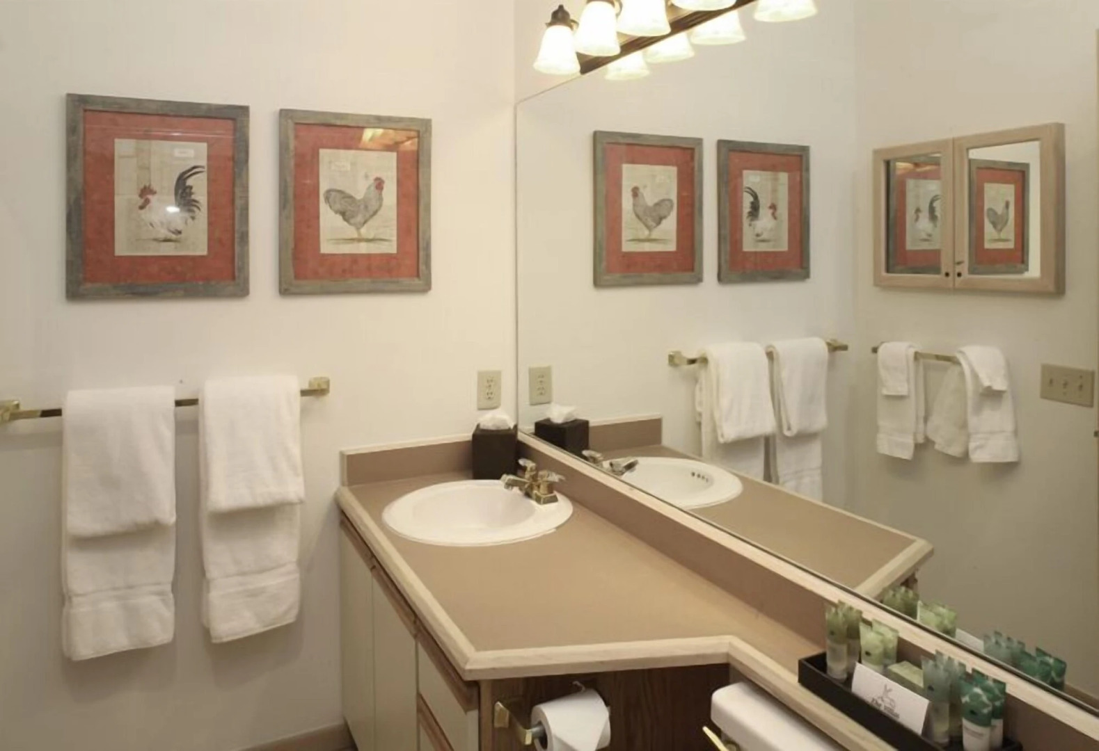 Villas at Snowmass Club